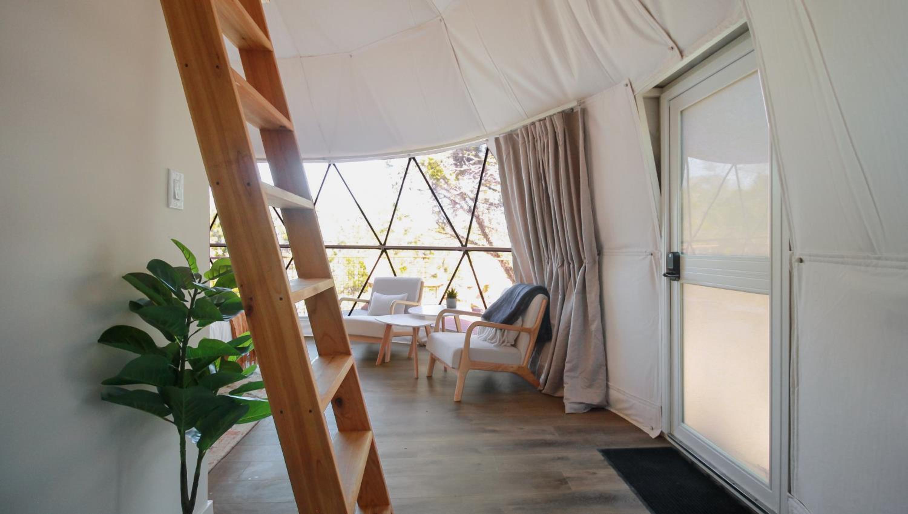 Superior Suite - Photo 6
