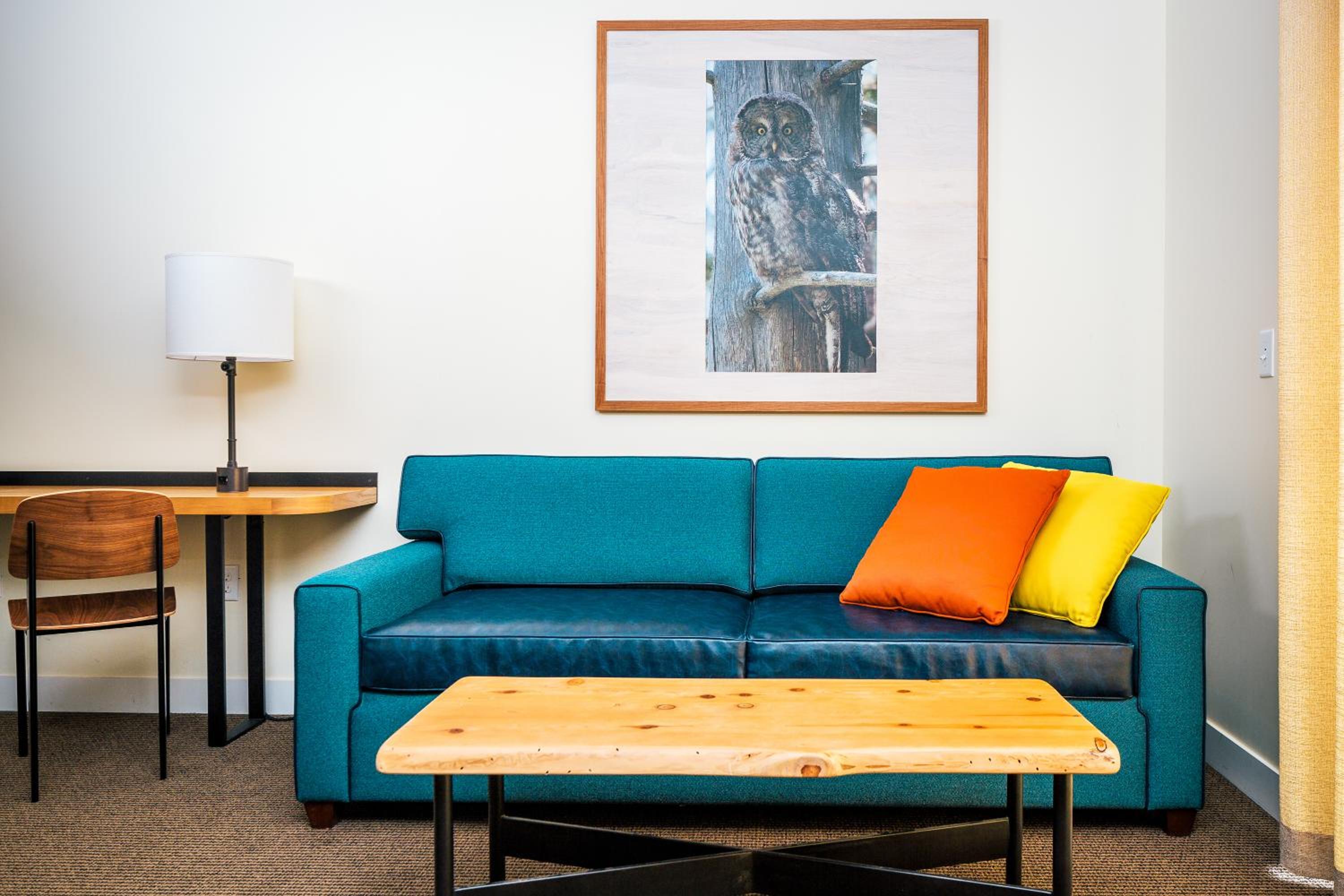 Suite - Disability Access photo 3