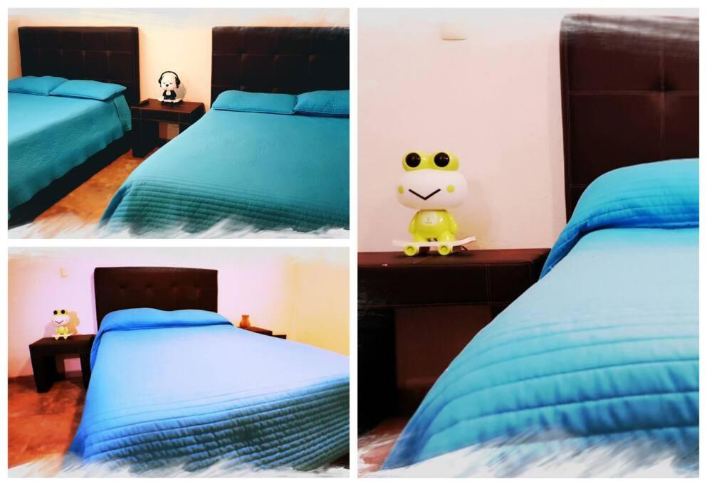 Two-Bedroom House photo 2