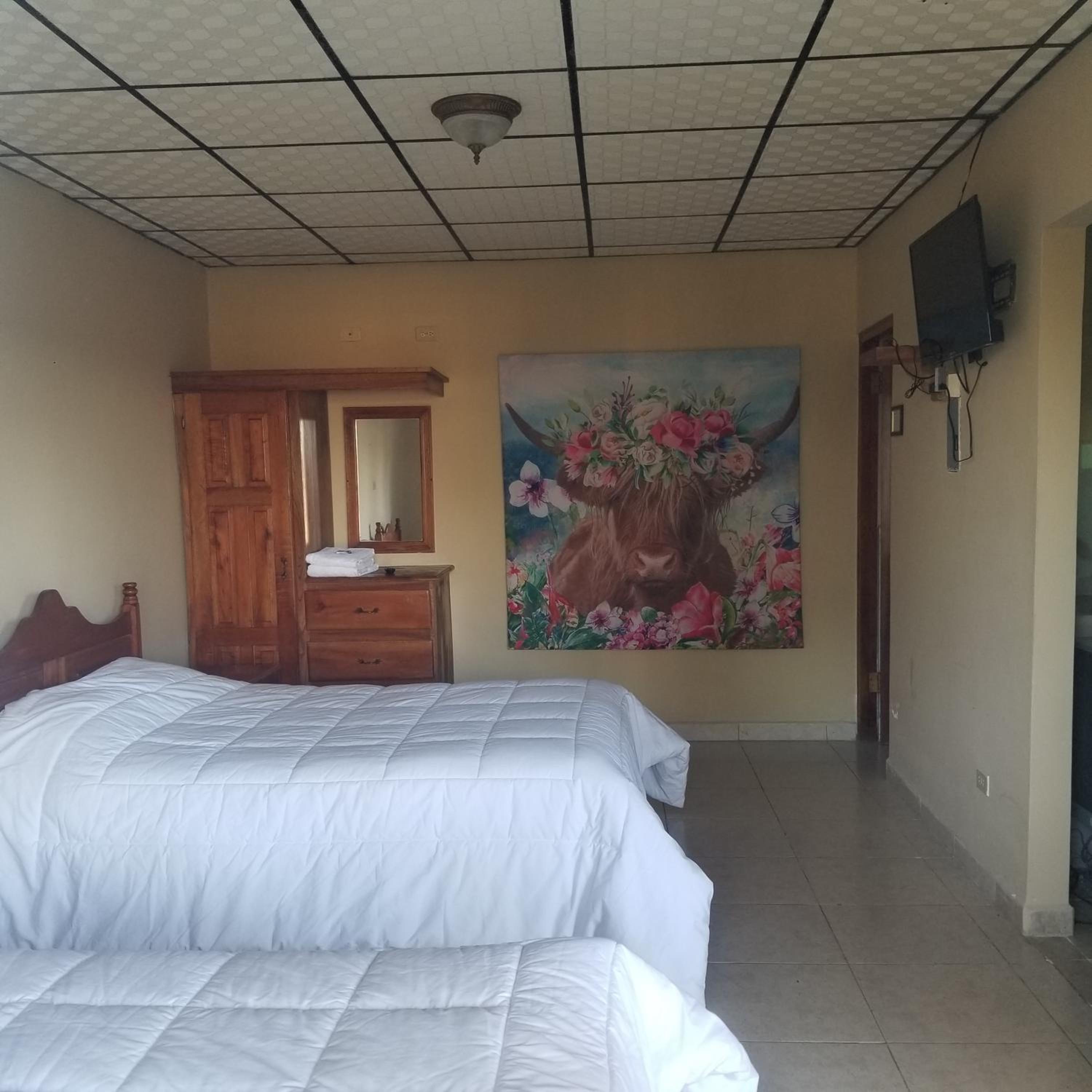 Double or Twin Room photo 2