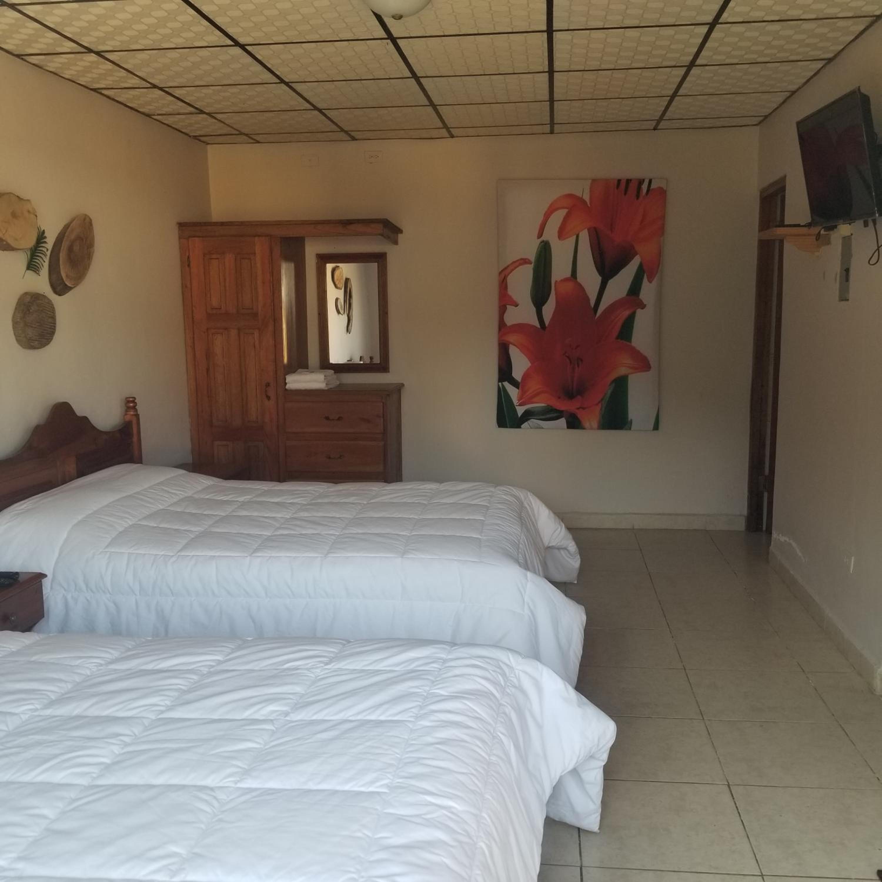 Standard Double Room with Two Double Beds photo 2