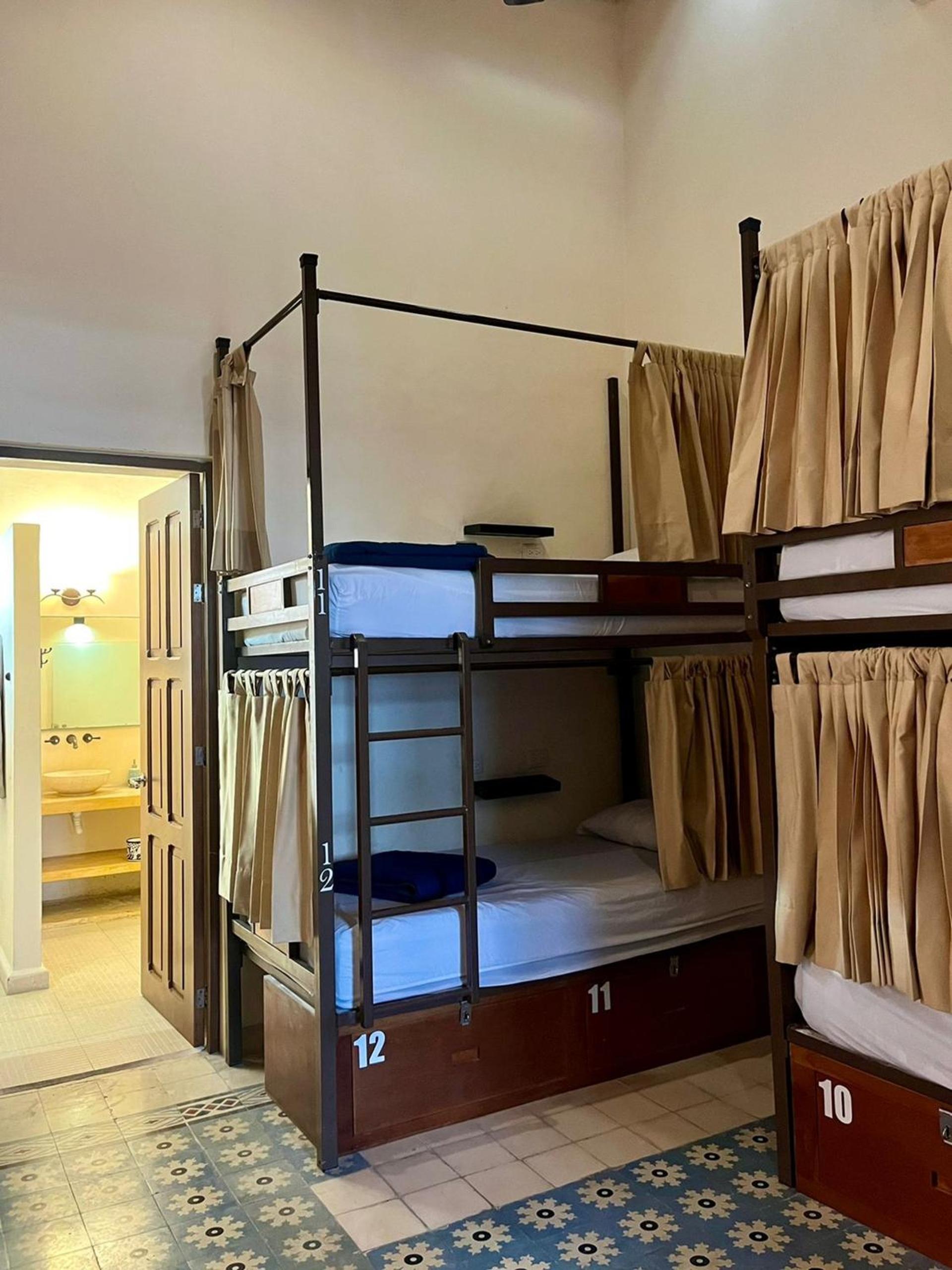 Bunk Bed in Mixed Dormitory Room photo 2