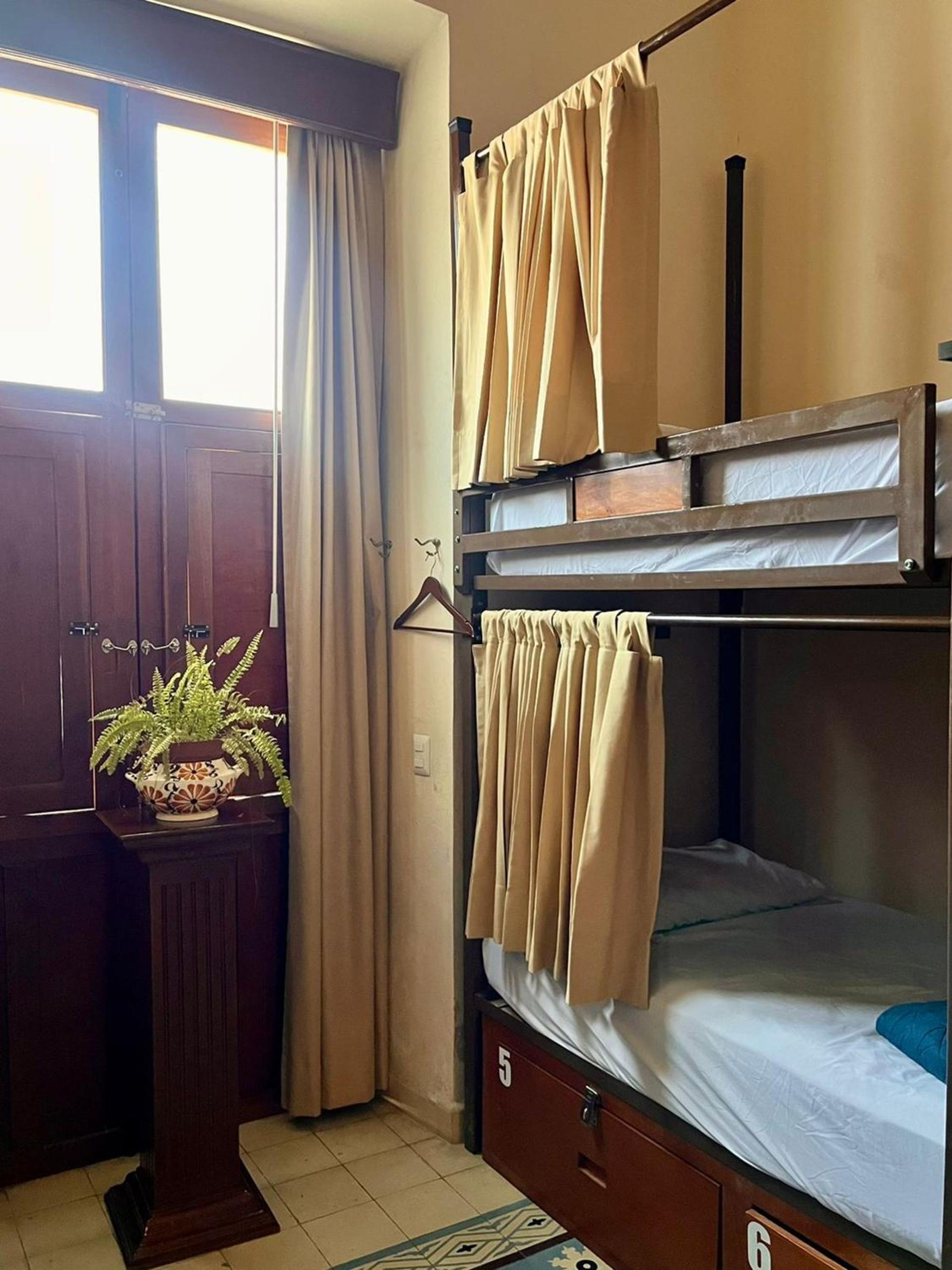 Bunk Bed in Mixed Dormitory Room photo 3