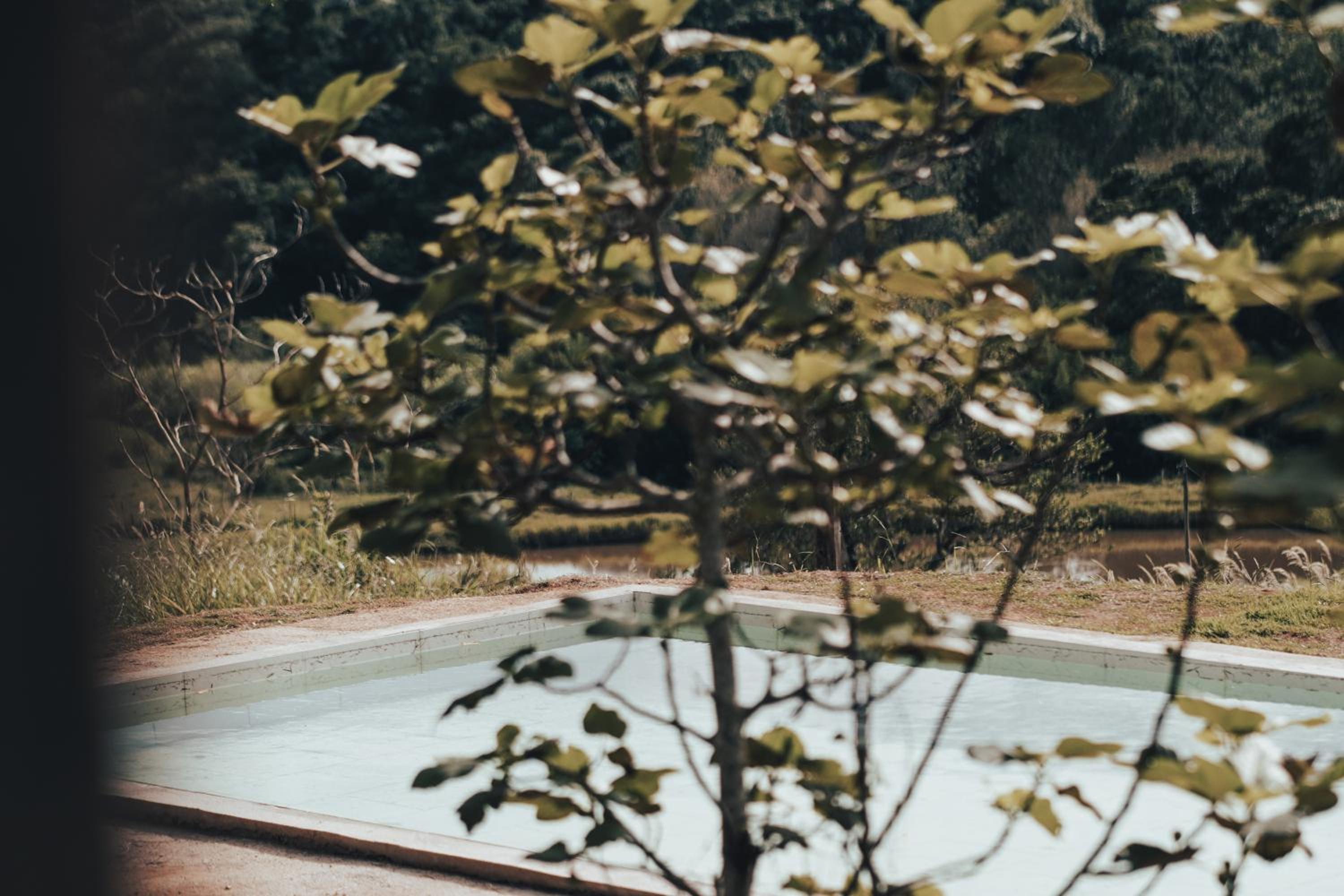 Double Room with Pool View - Photo 5