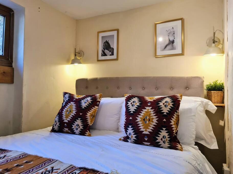 One-Bedroom House photo 1