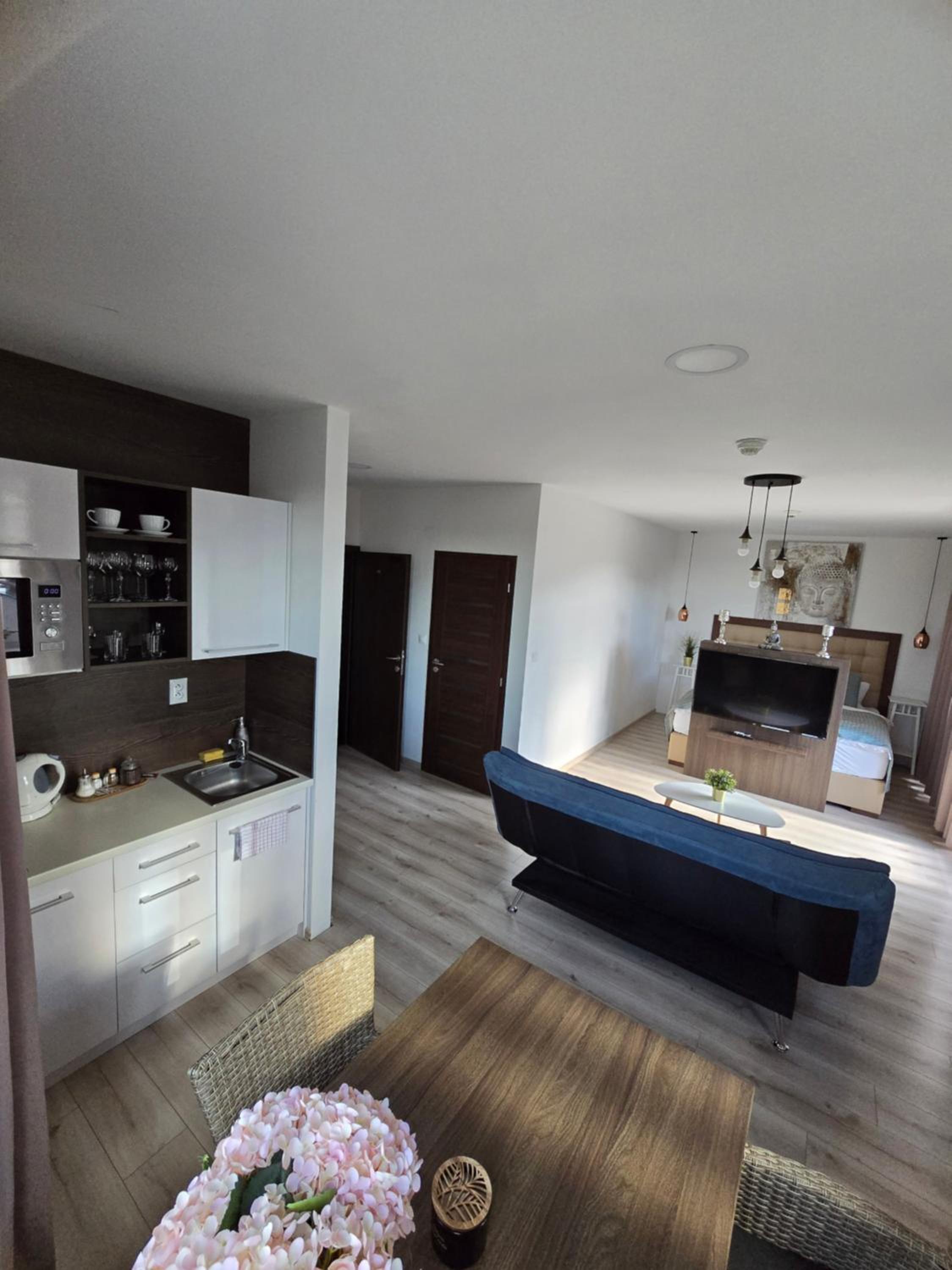 One-Bedroom Apartment photo 2