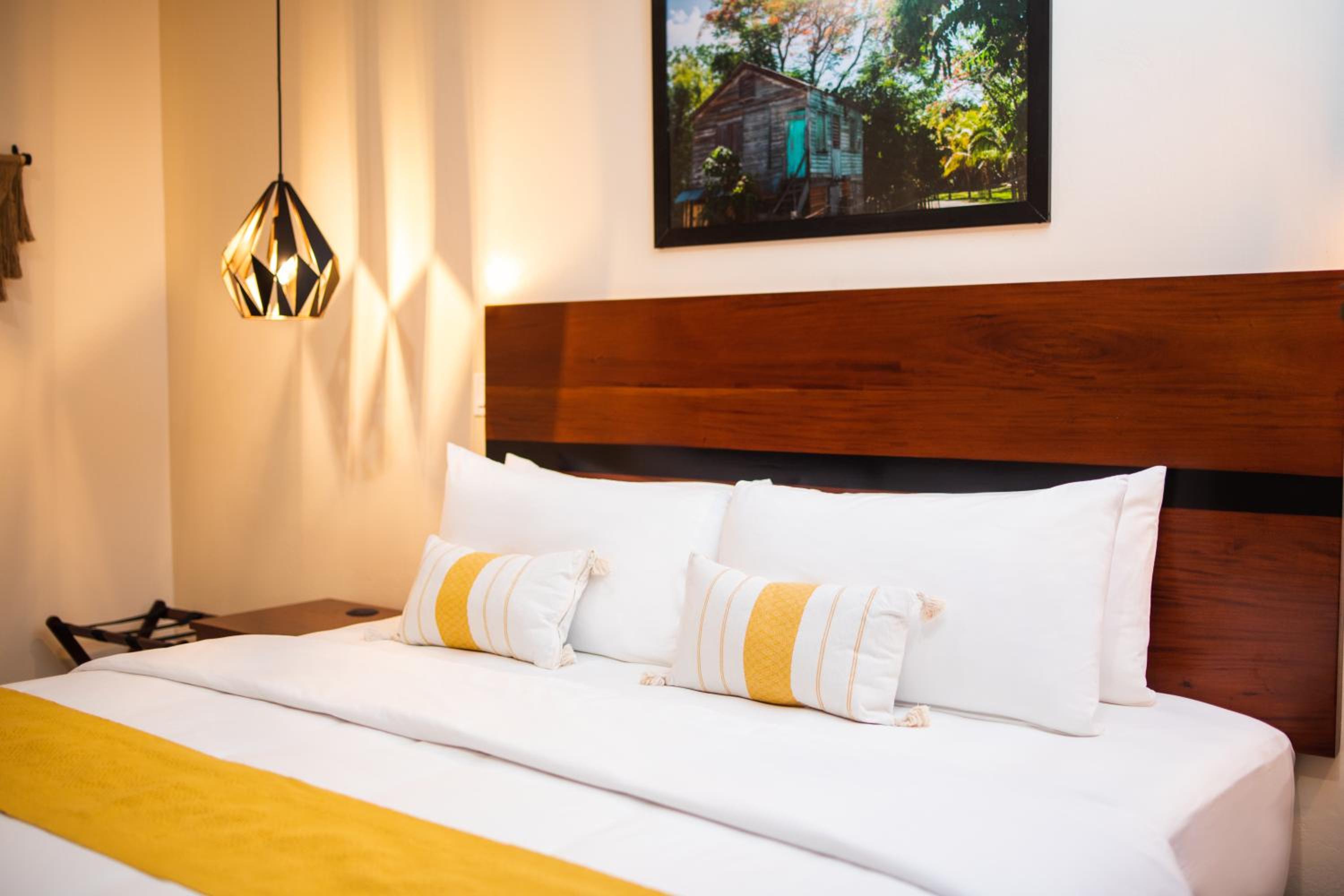 Deluxe King Suite photo 3