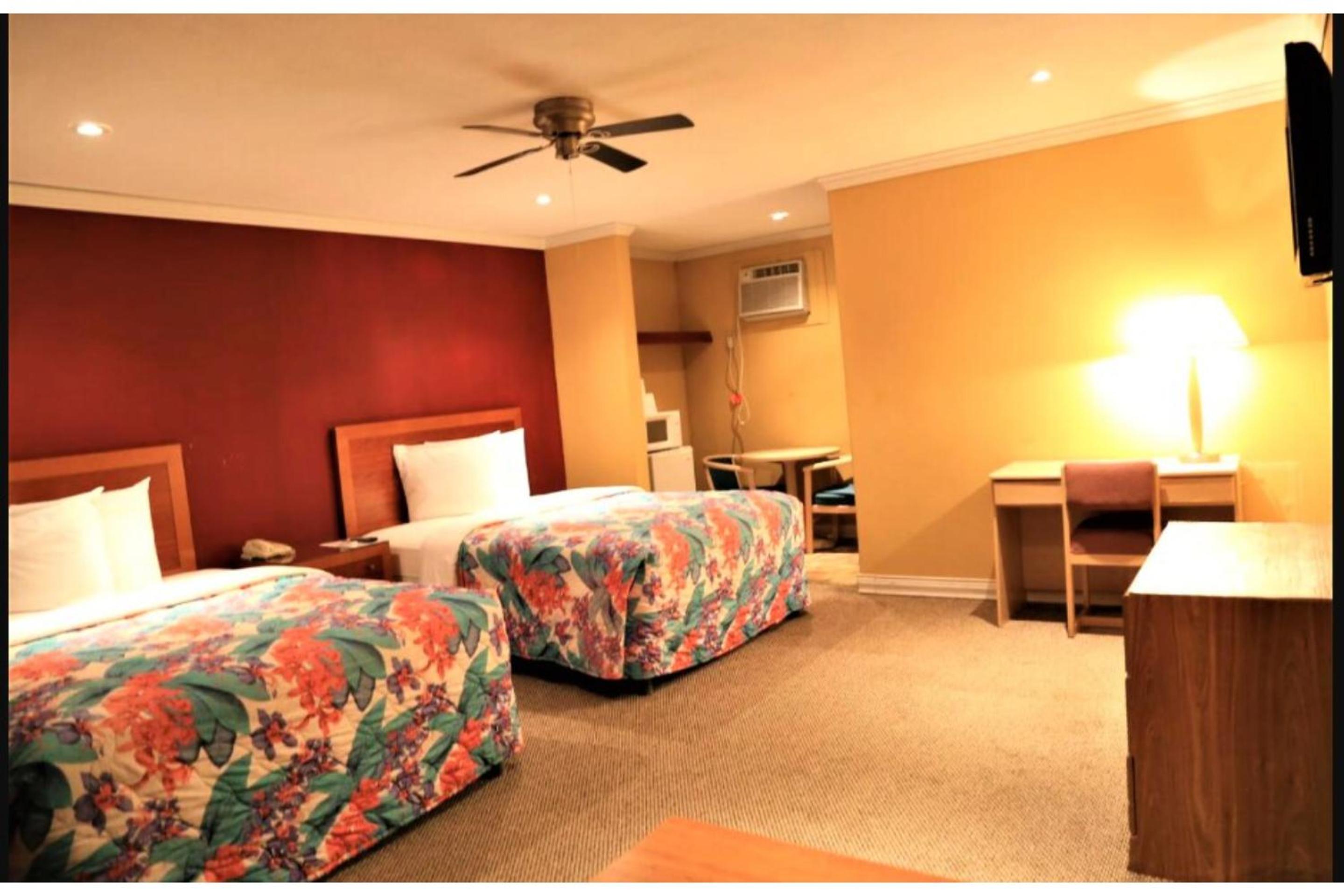 2 Bedroom Apartment photo 2