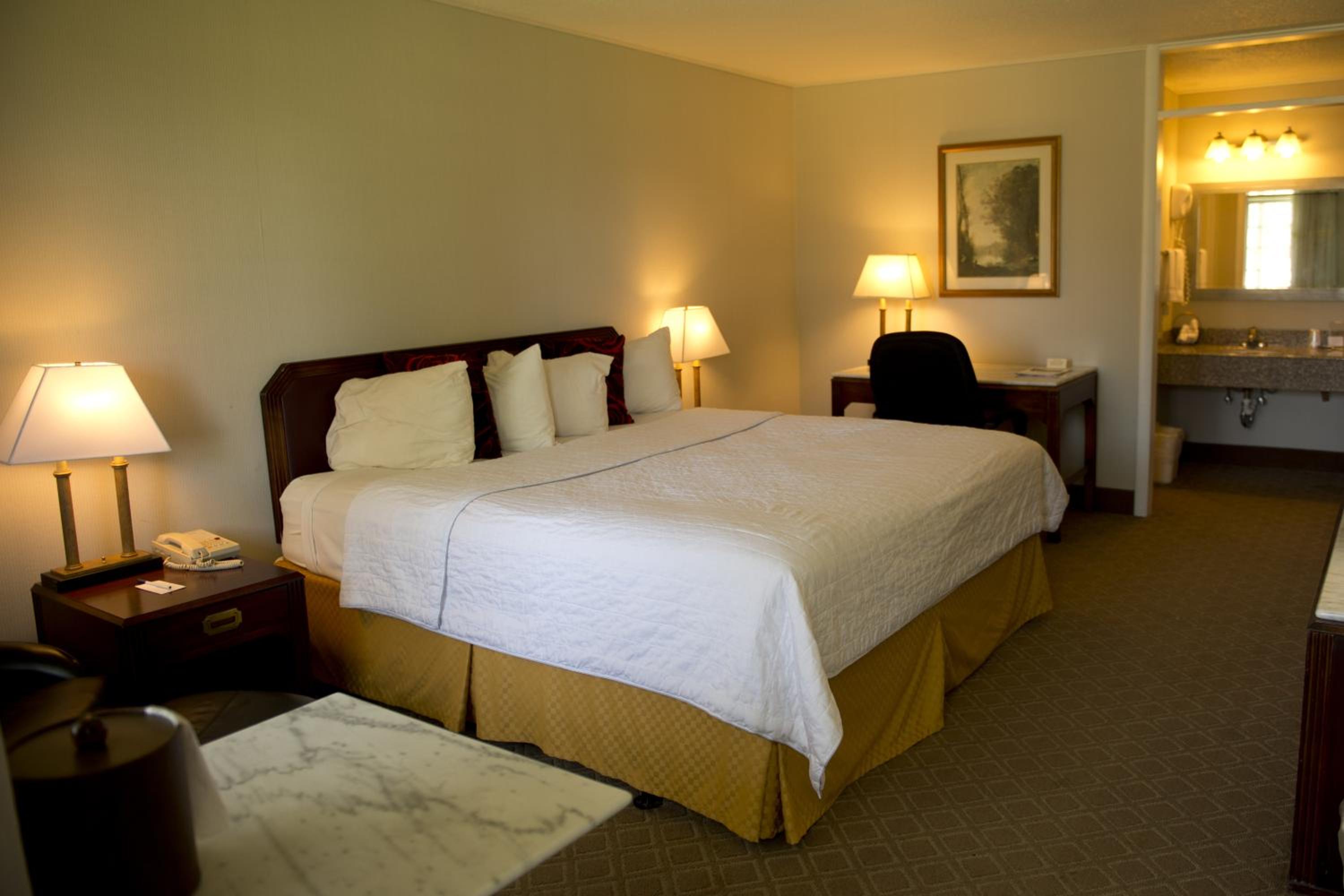 King Room - Non-Smoking - Photo 4