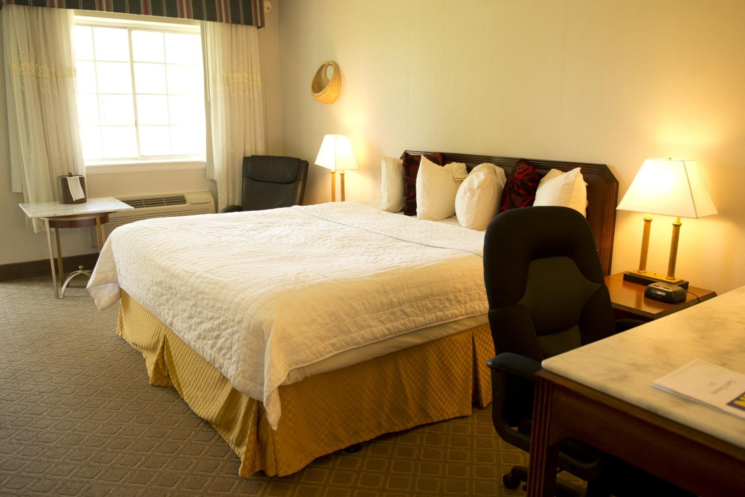 King Room - Non-Smoking - Photo 1