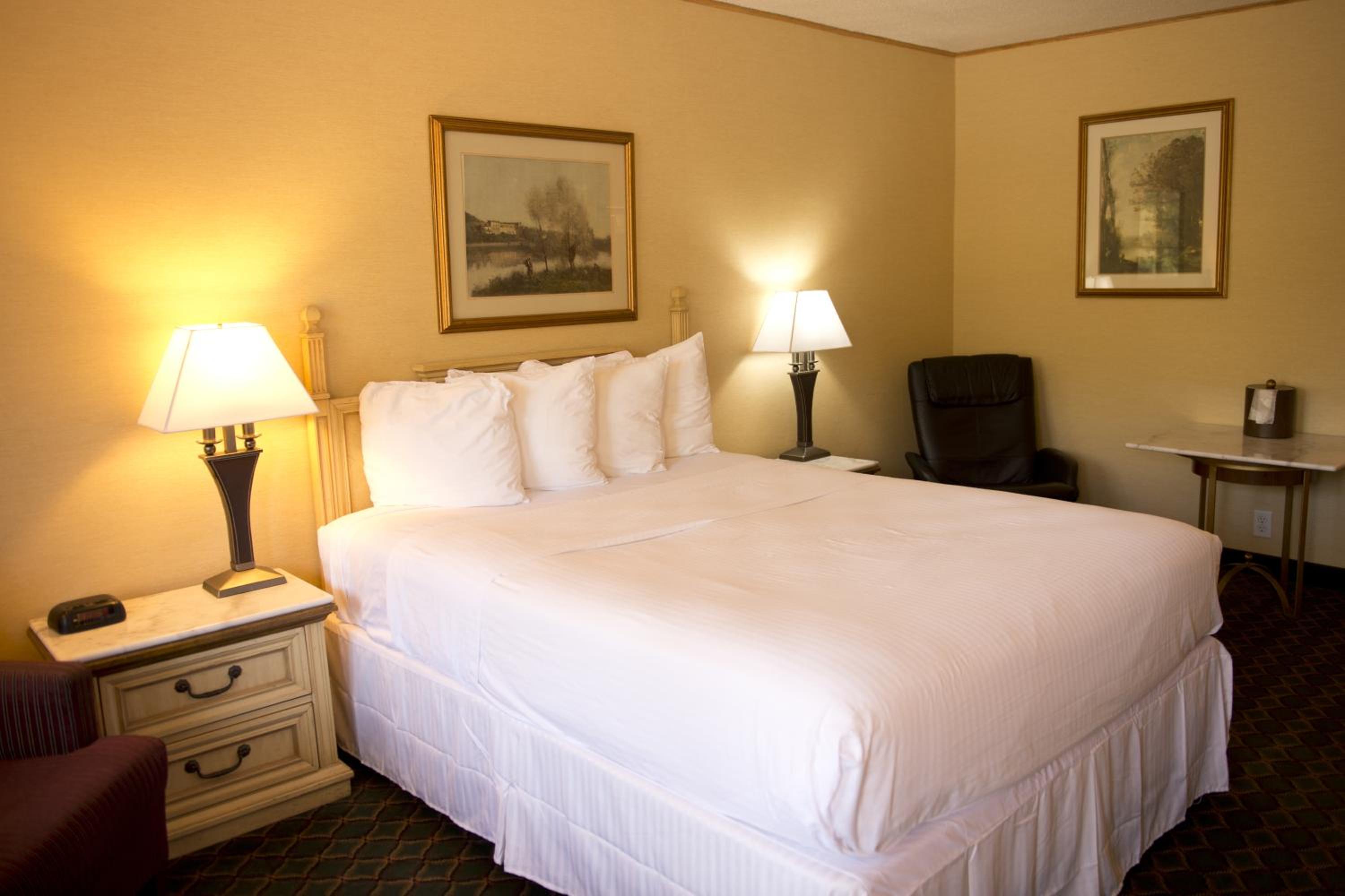 Deluxe Single Room - Photo 2