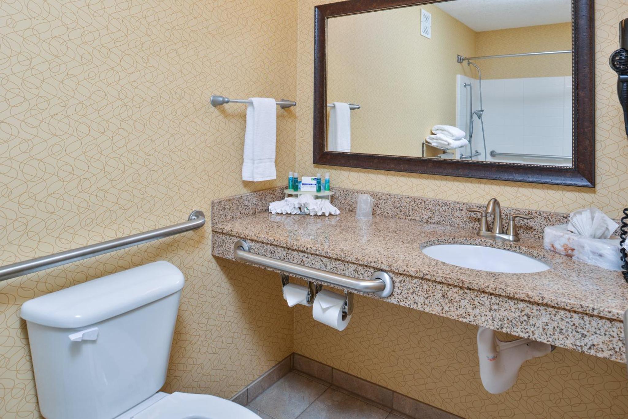 Standard King Room with Mobility Accessible Tub - Photo 5
