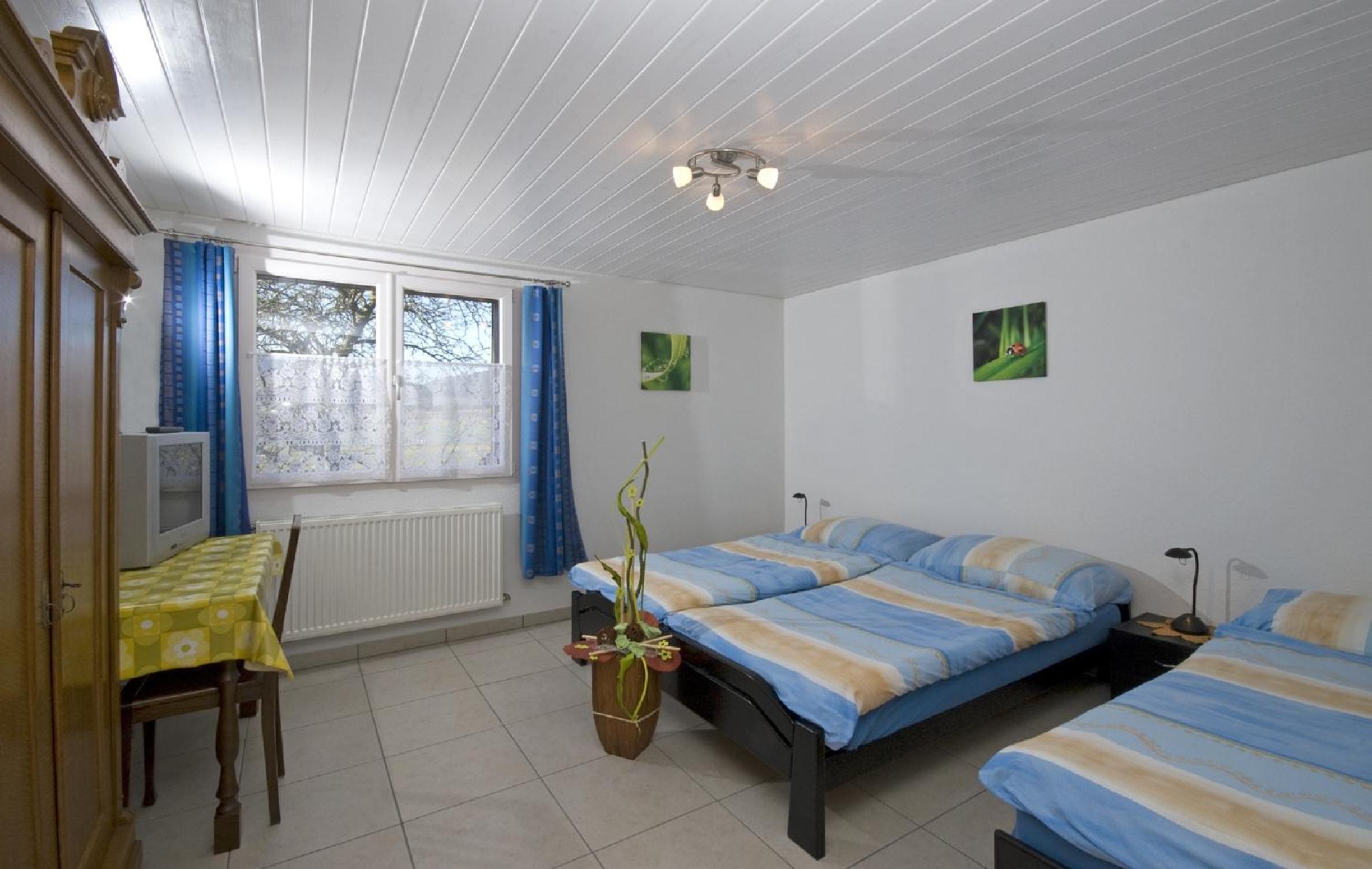 Triple Room with Shower photo 2