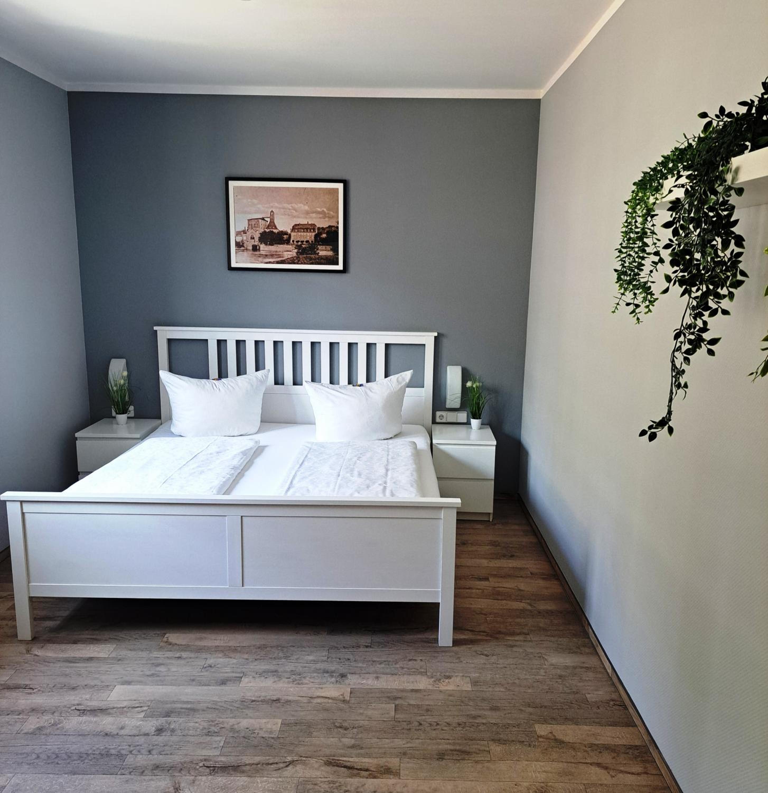Suite - Photo 1