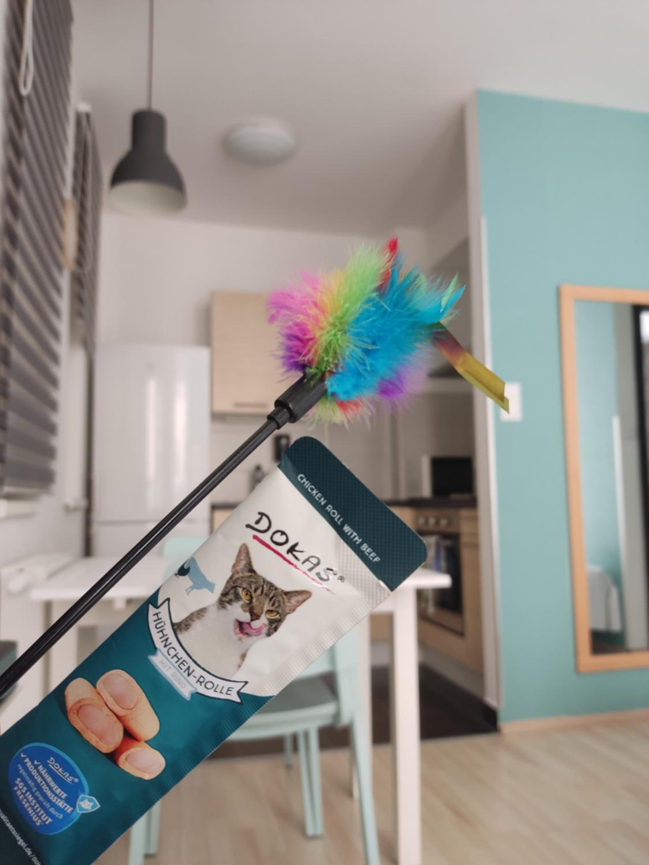 Pet Friendly Apartment