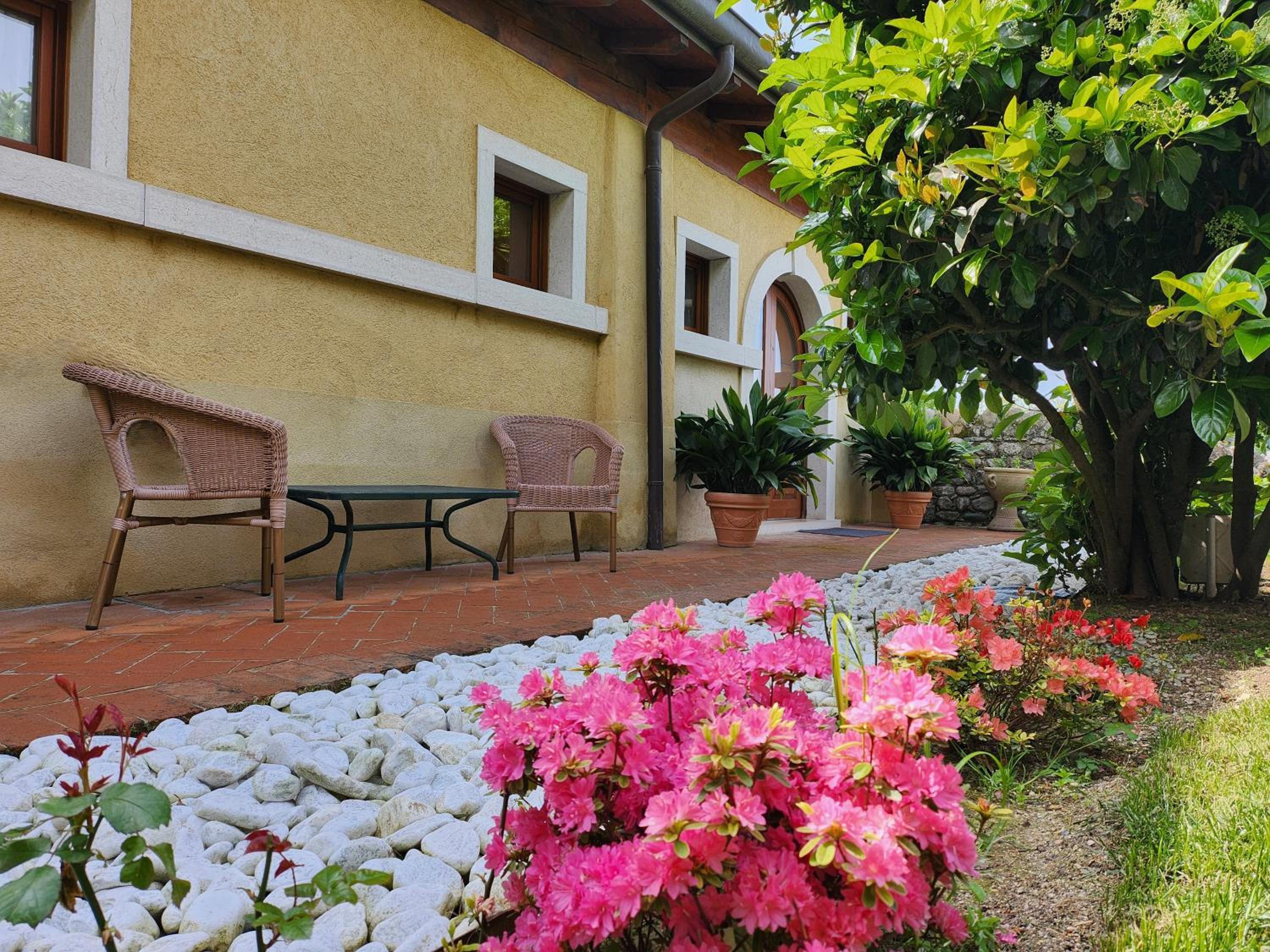 Terrace Suite photo 2