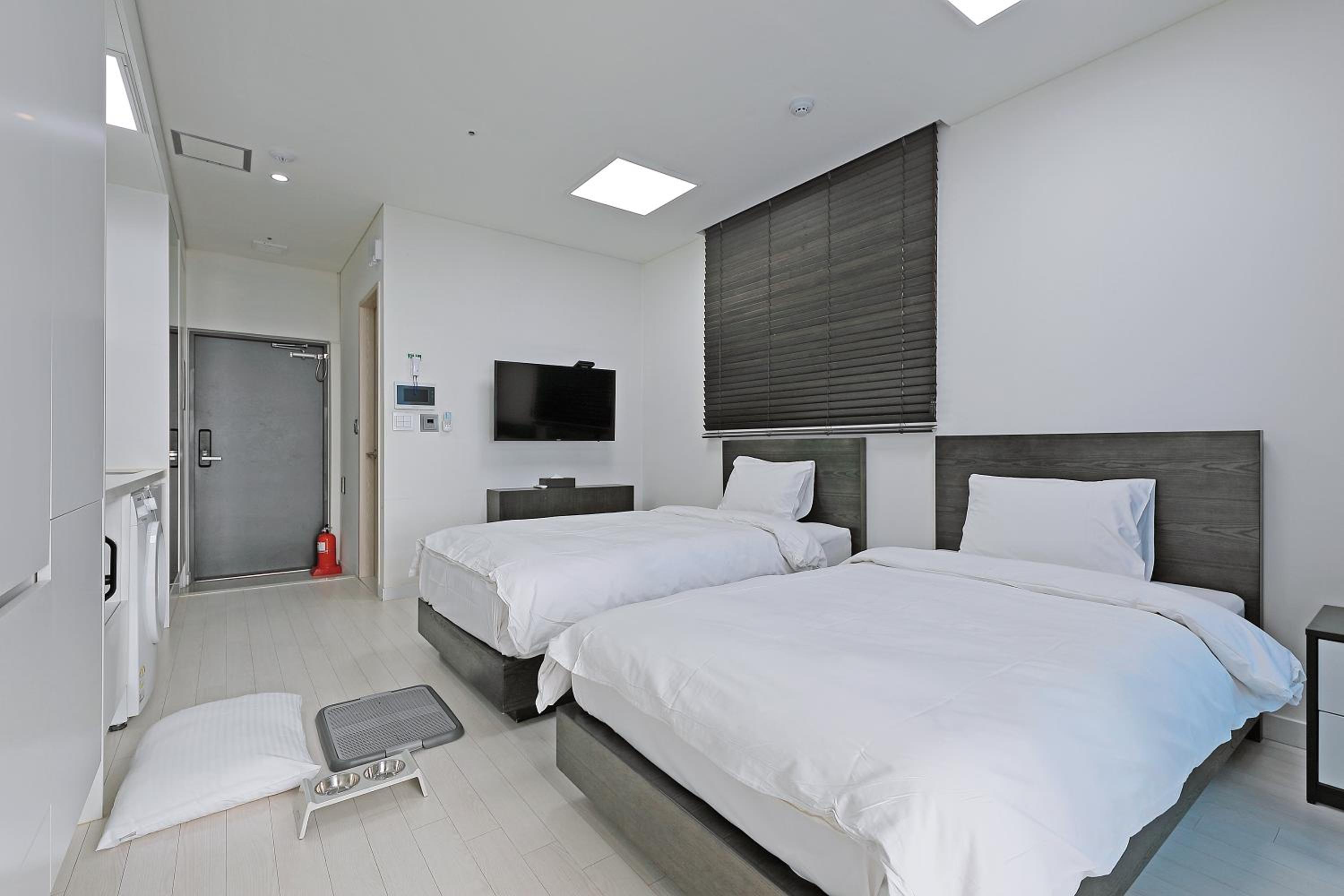Twin Room - Pet Friendly - Photo 2