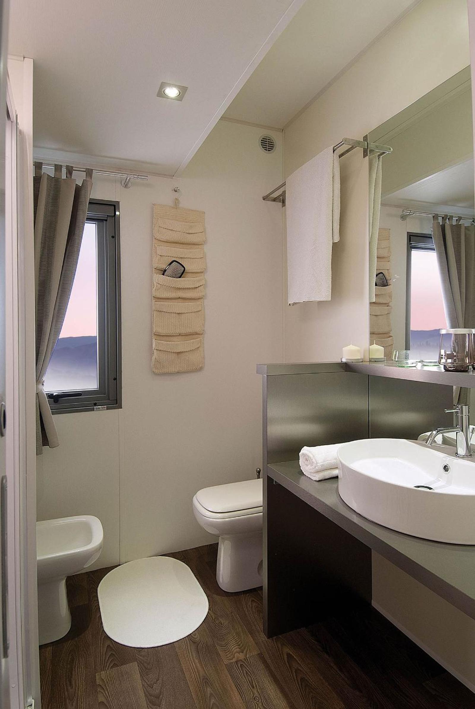 Mobile Home photo 2