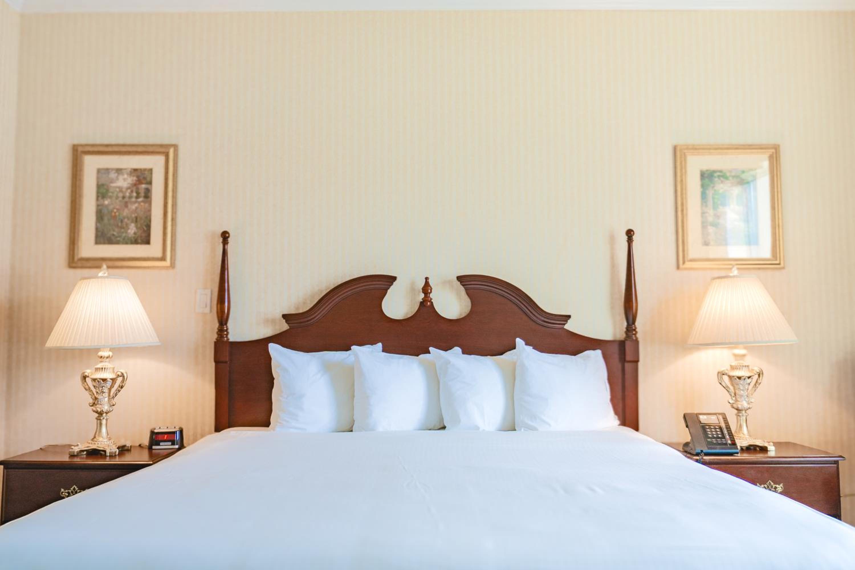 Mini Suite - Photo 2
