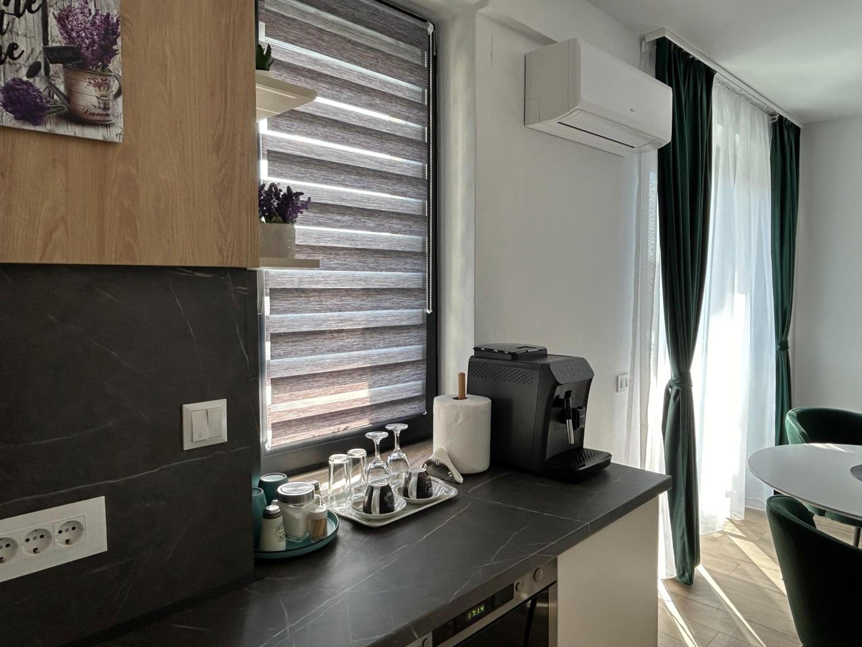 One-Bedroom Apartment photo 3