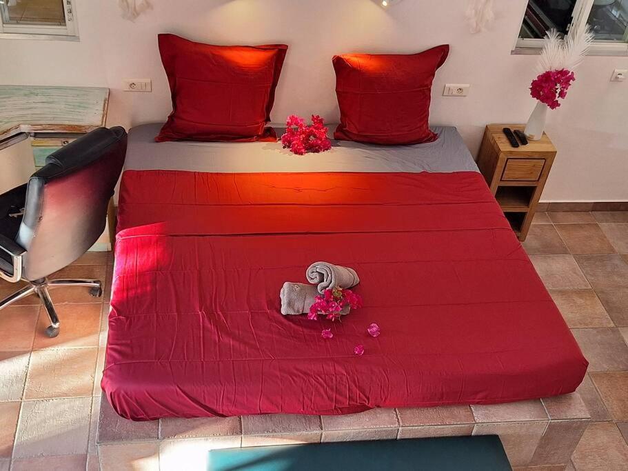 One-Bedroom House photo 3