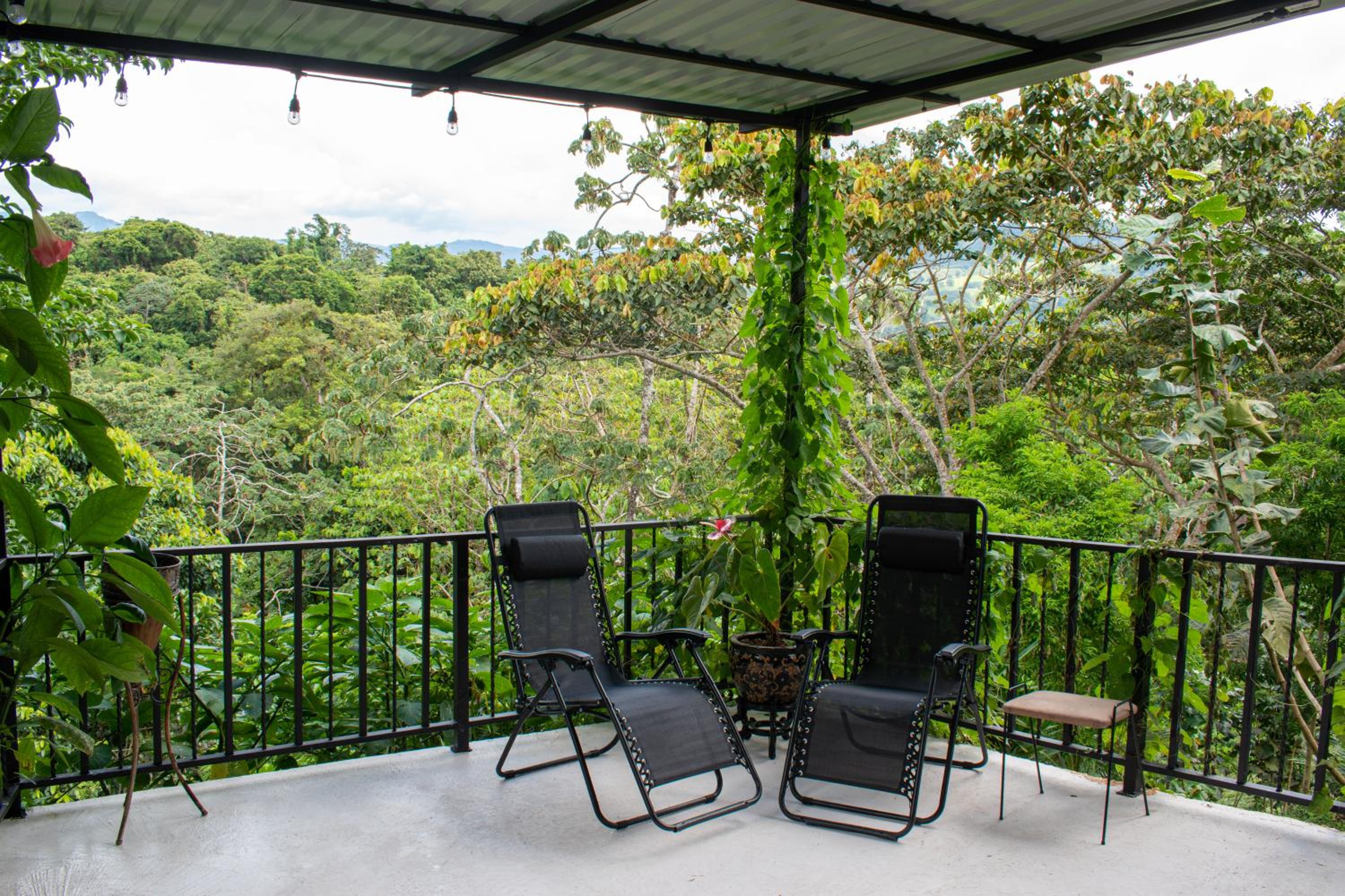 Apartment with Terrace photo 3