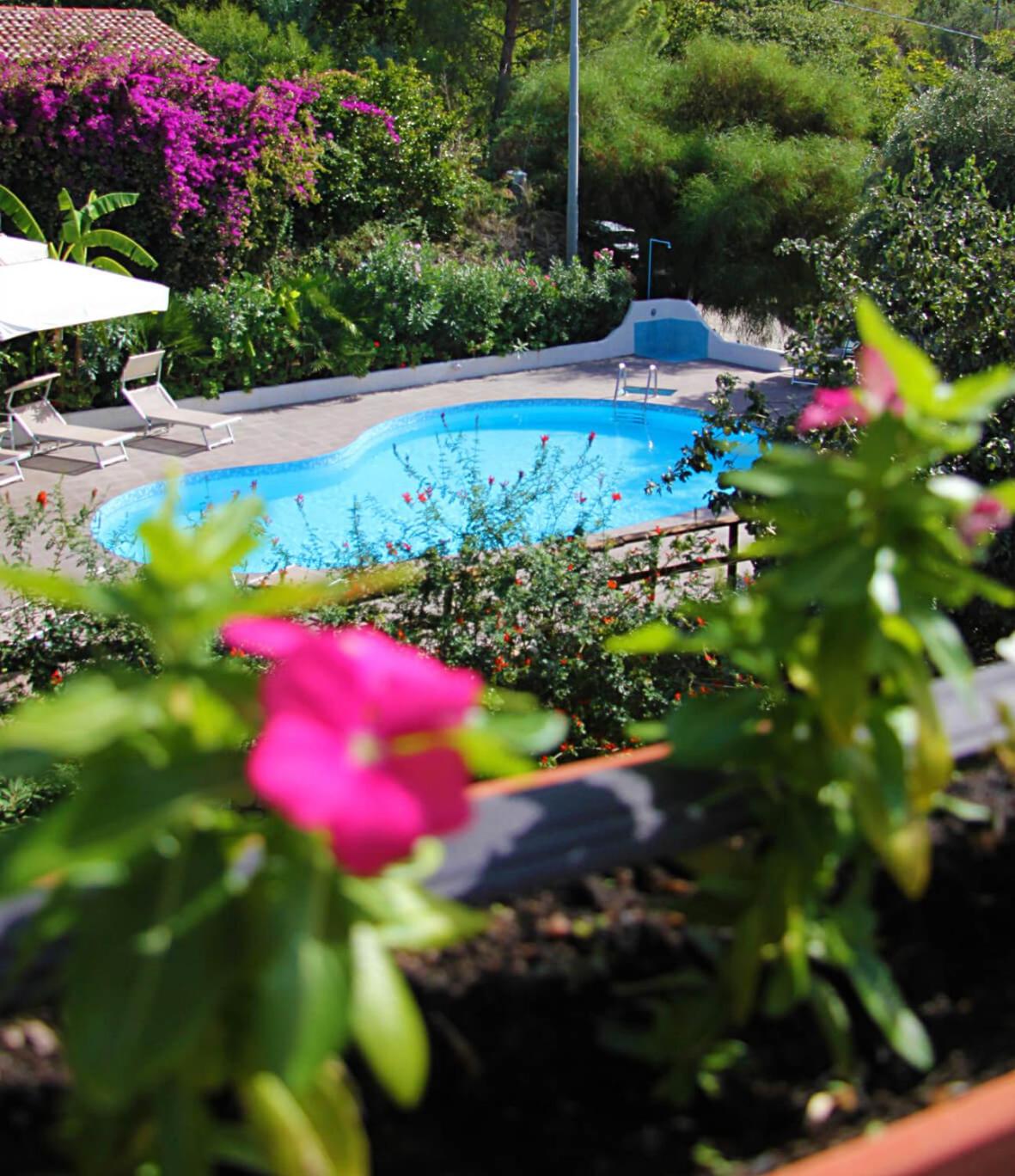 Double Room with Pool View - Photo 4