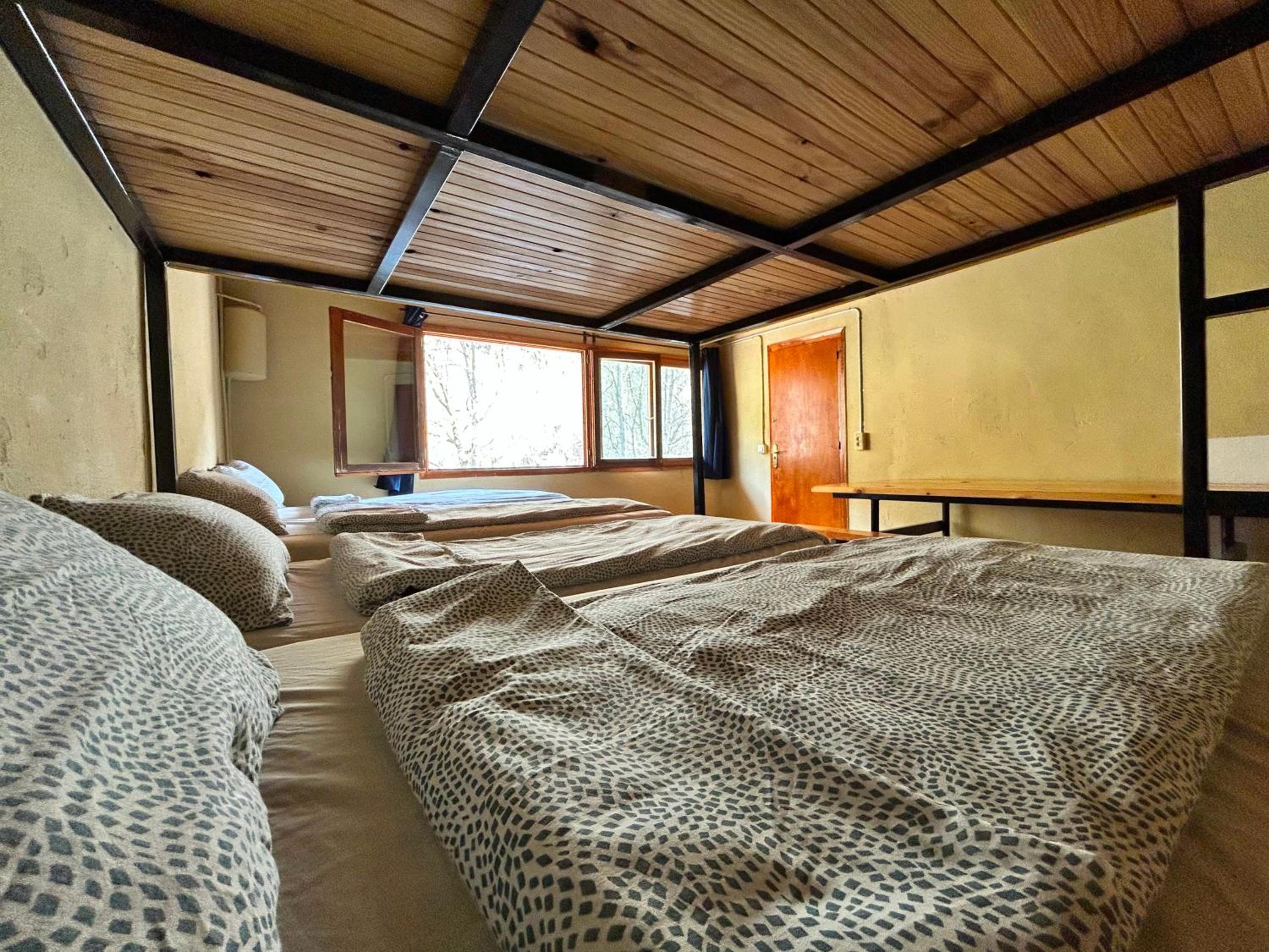 Habitación compartida mixta de 8 camas