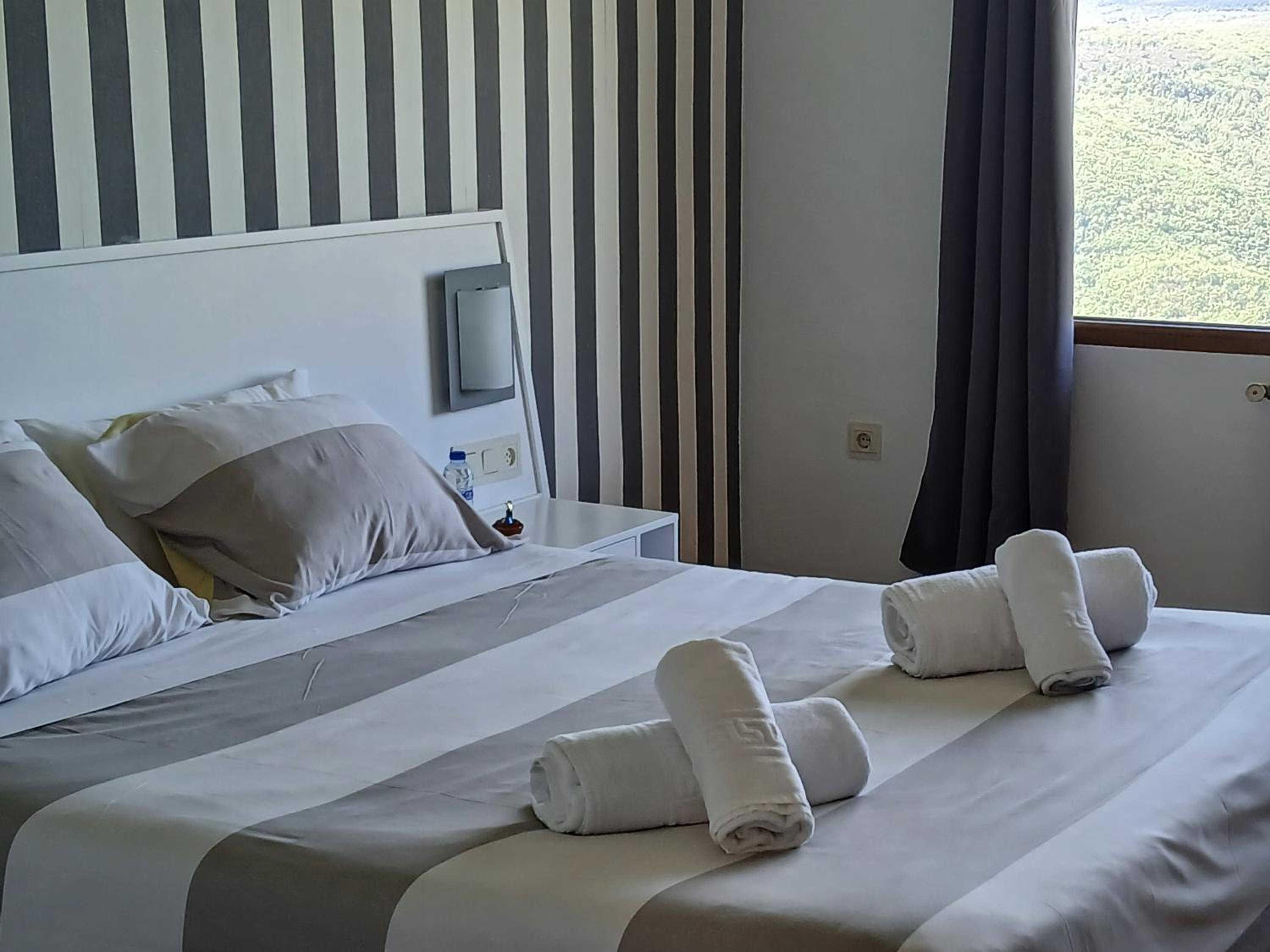 Deluxe Double or Twin Room with Mountain View photo 2