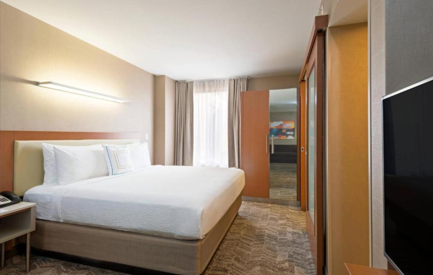 King Suite with Sofa Bed - Photo 1