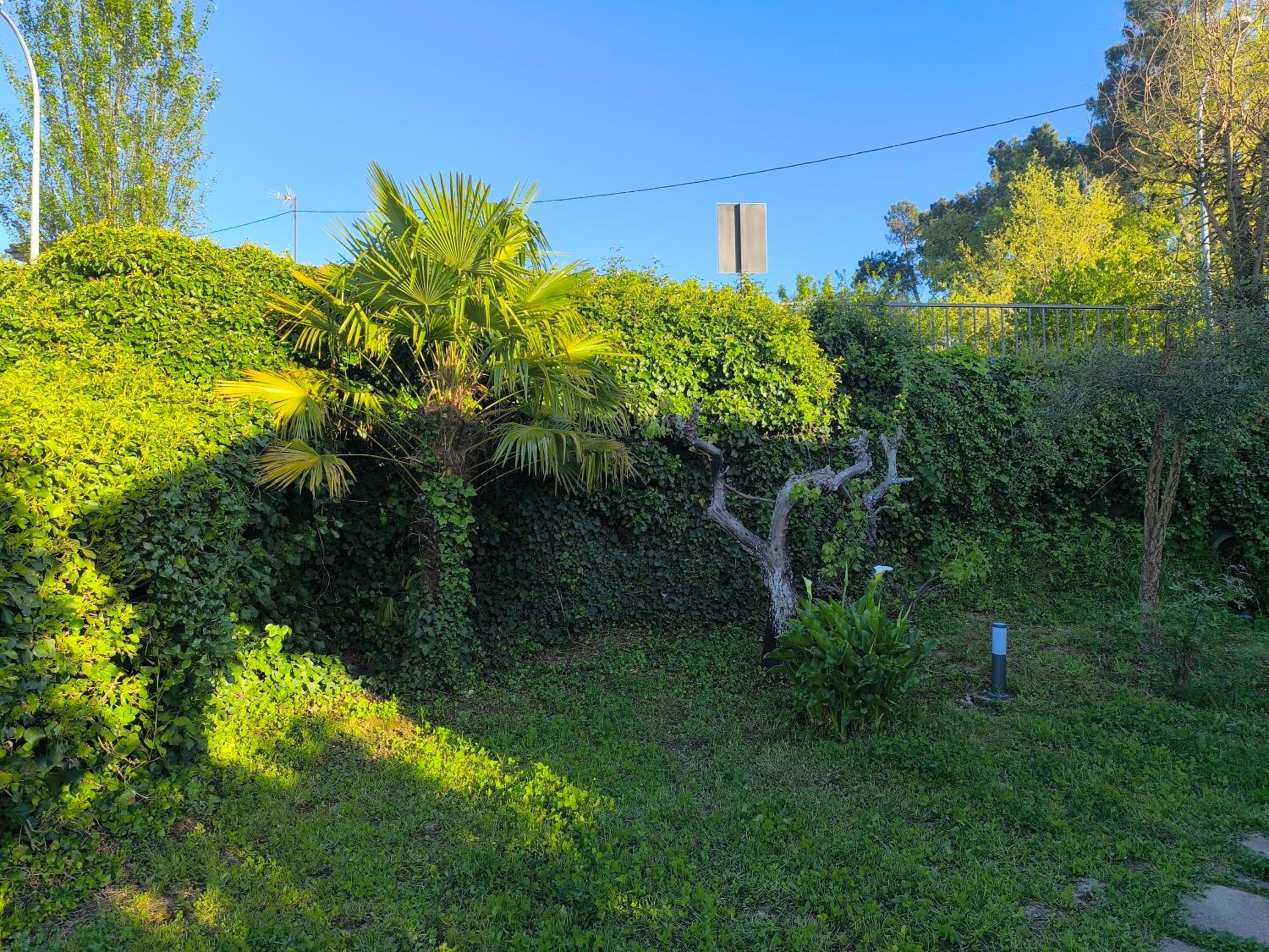 Cottage with Garden View photo 2