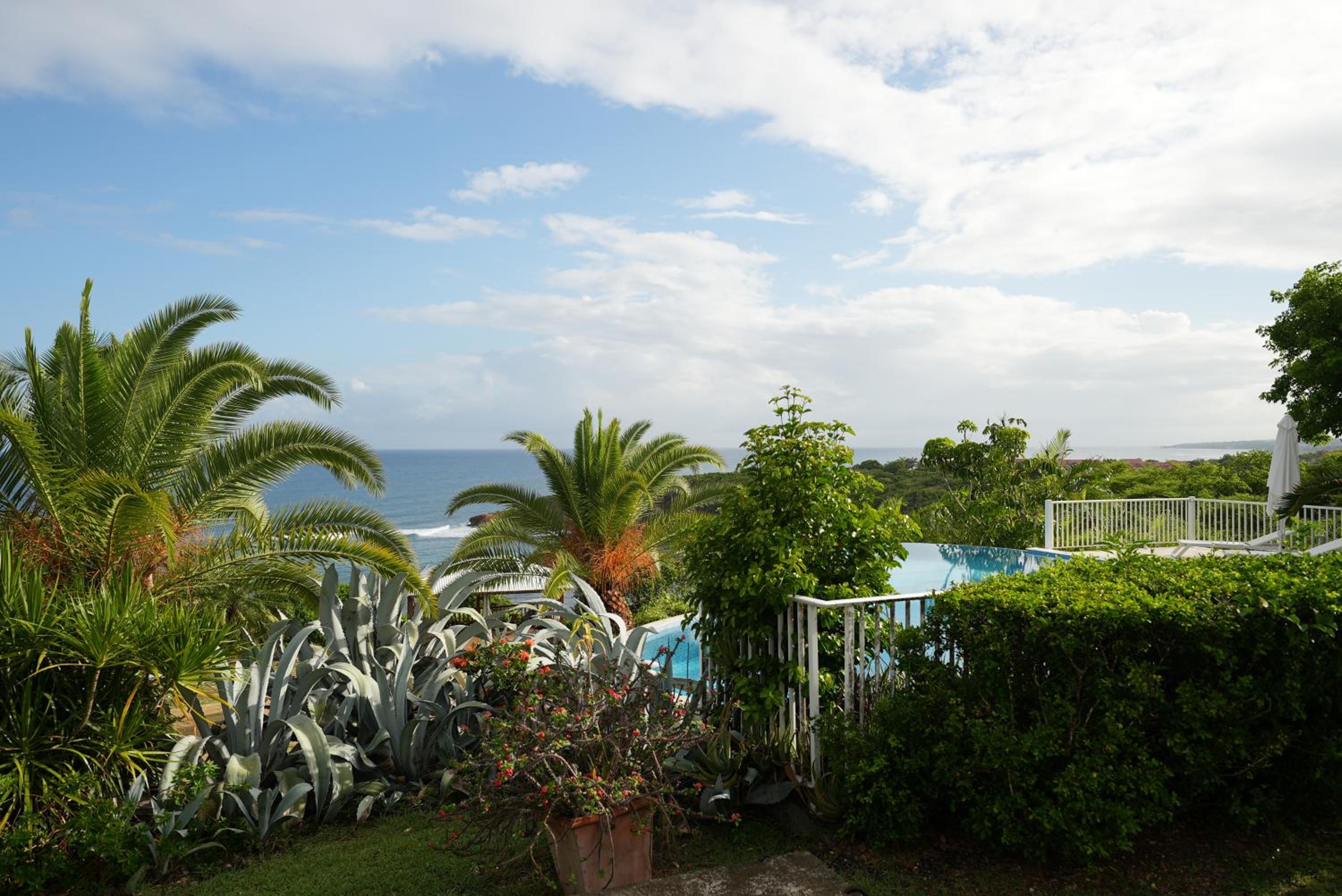 Superior Double or Twin Room, Ocean View