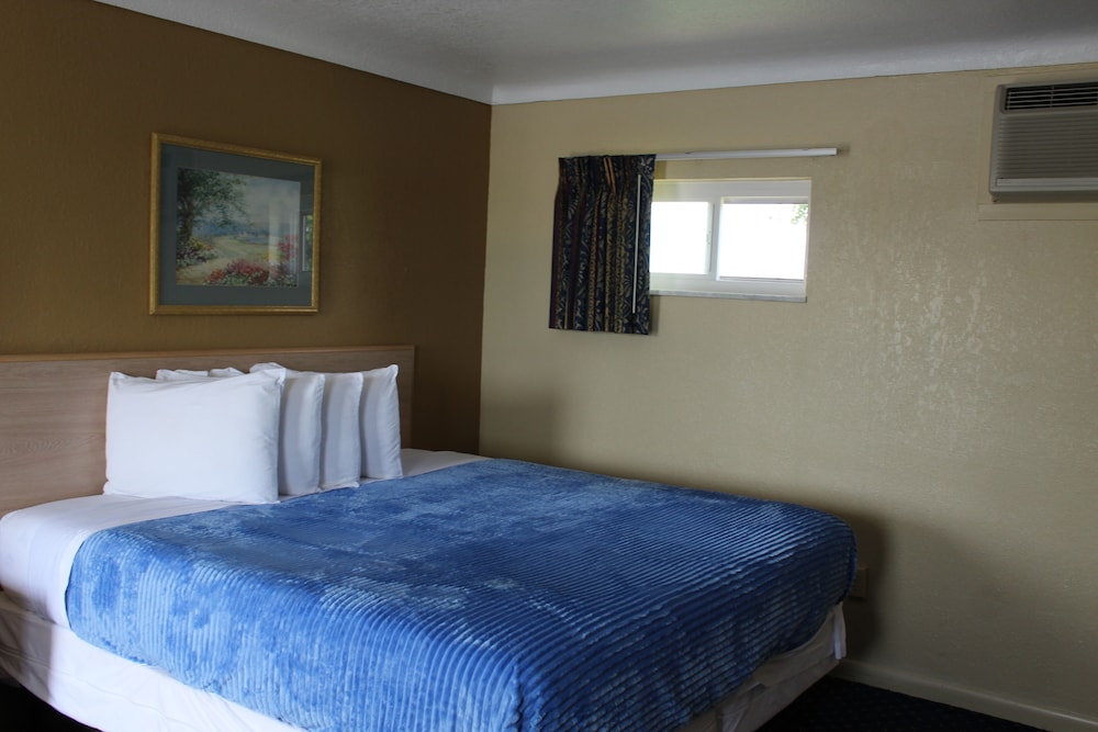 Standard Single Room with One King Bed and 1 Adult Occupancy (Non Smoking) photo 1
