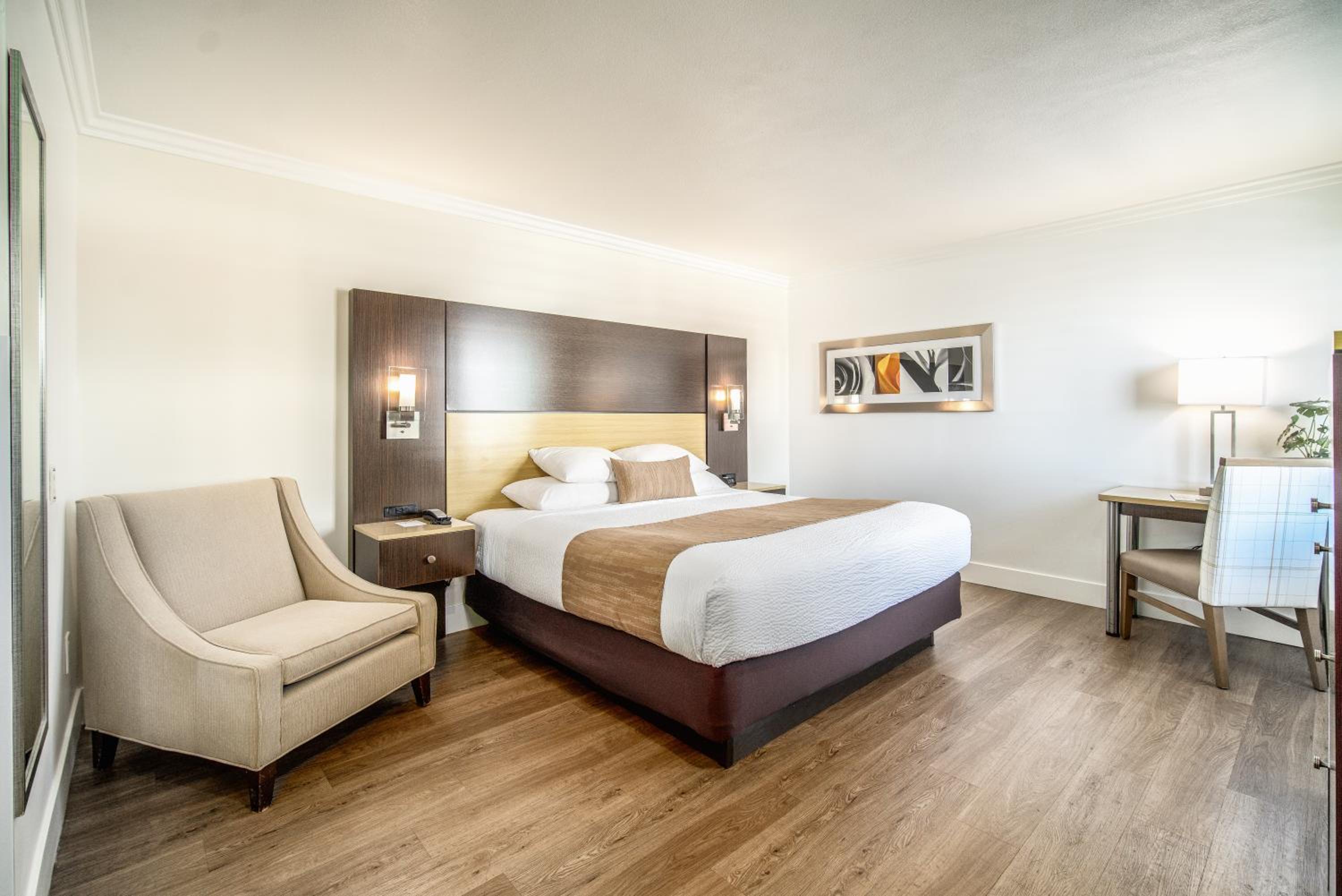 King Room - Photo 1
