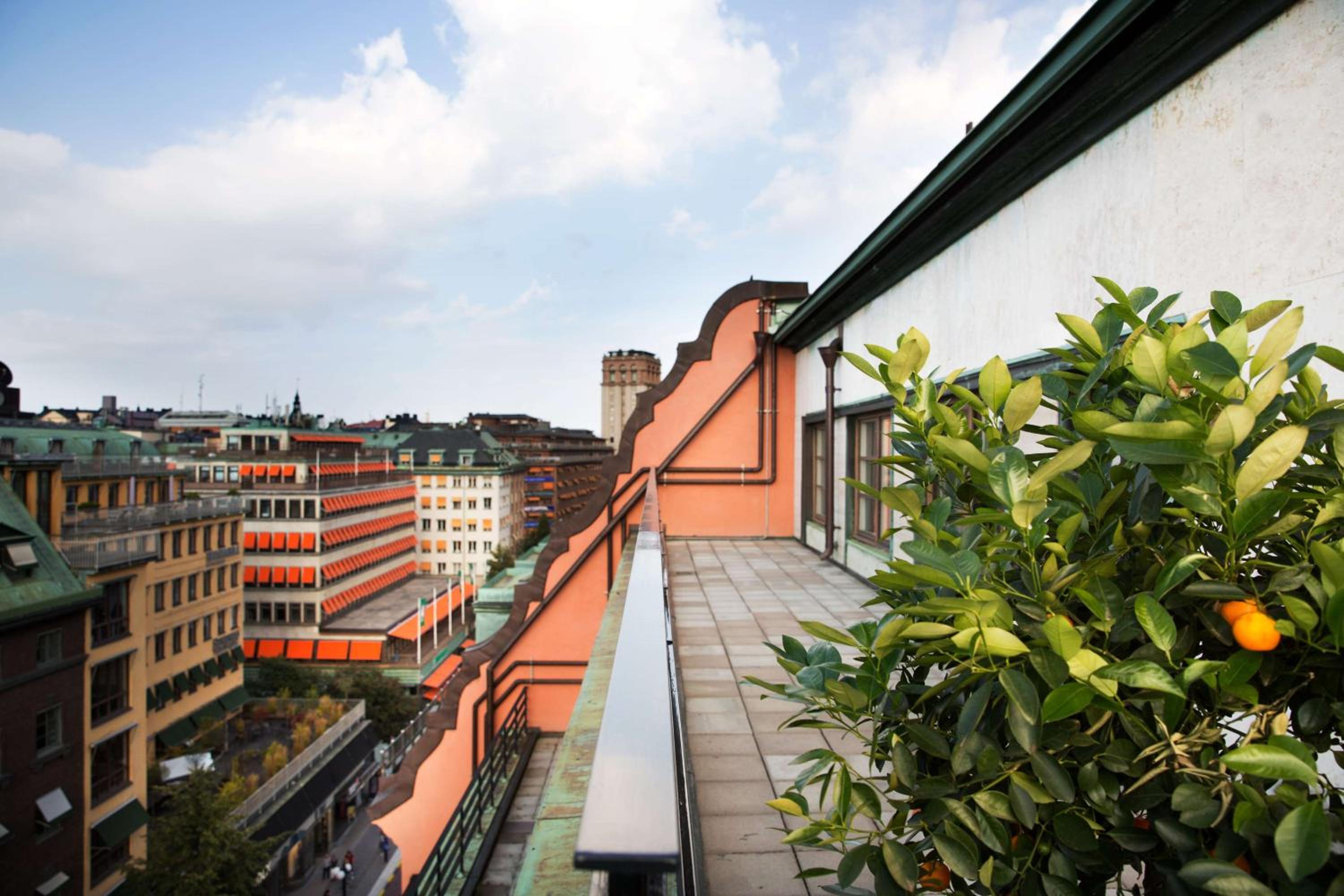 Presidential Suite with Terrace
