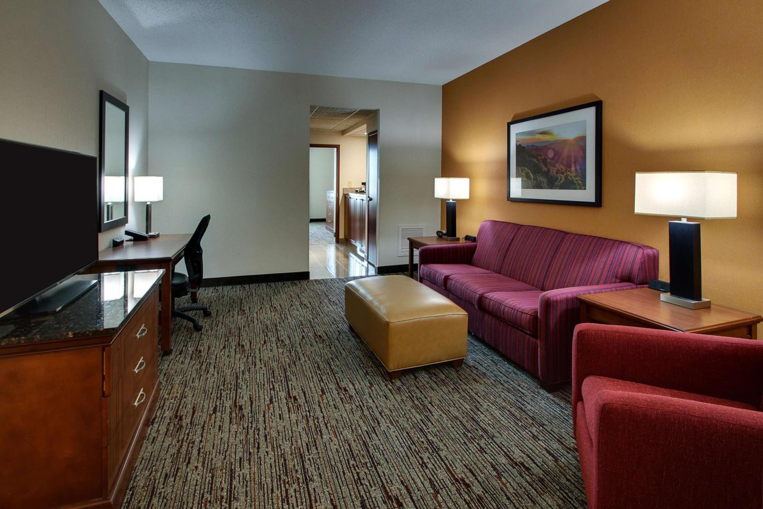 King Suite with Sofa Bed photo 1