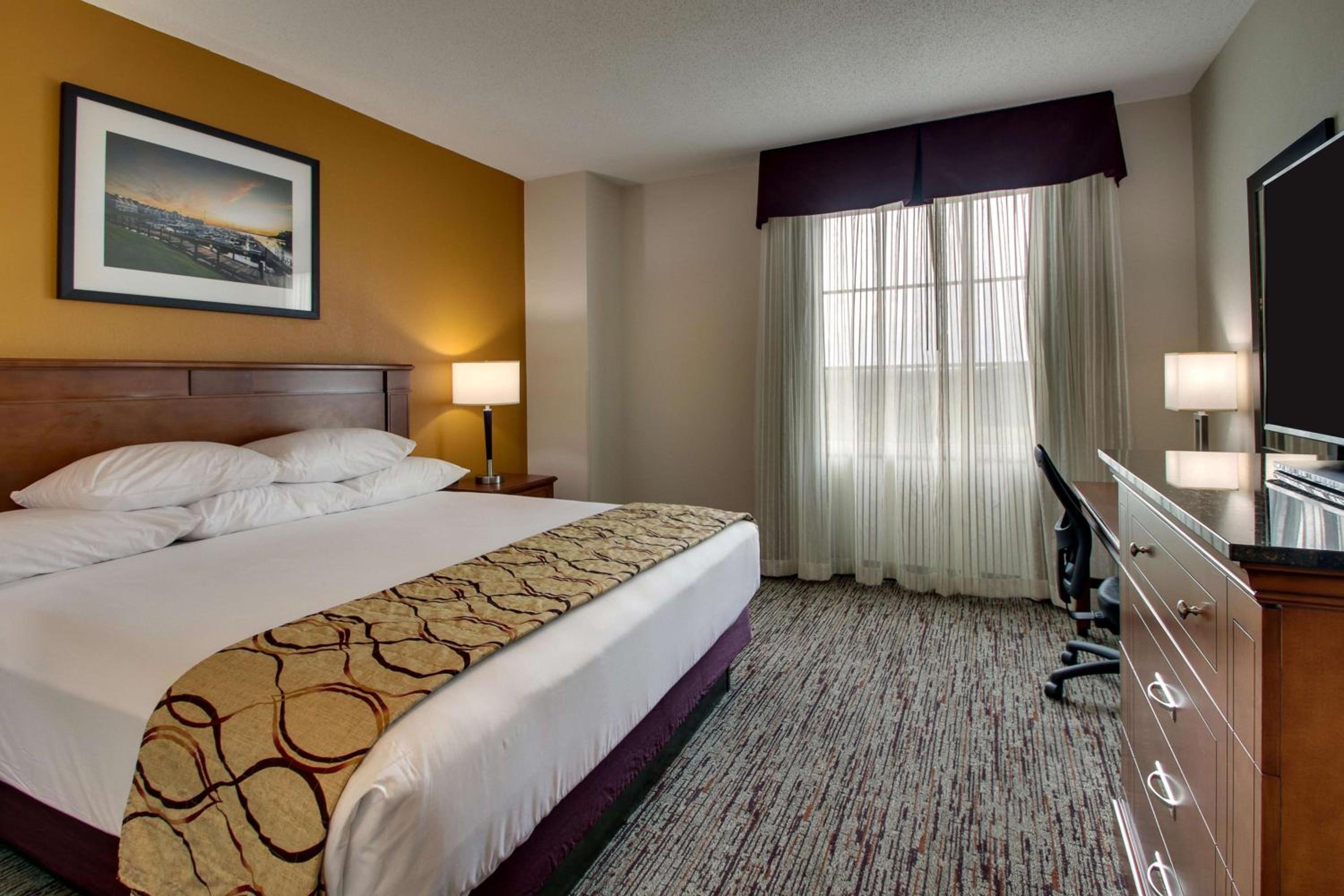Superior King Room with Sofa Bed photo 2