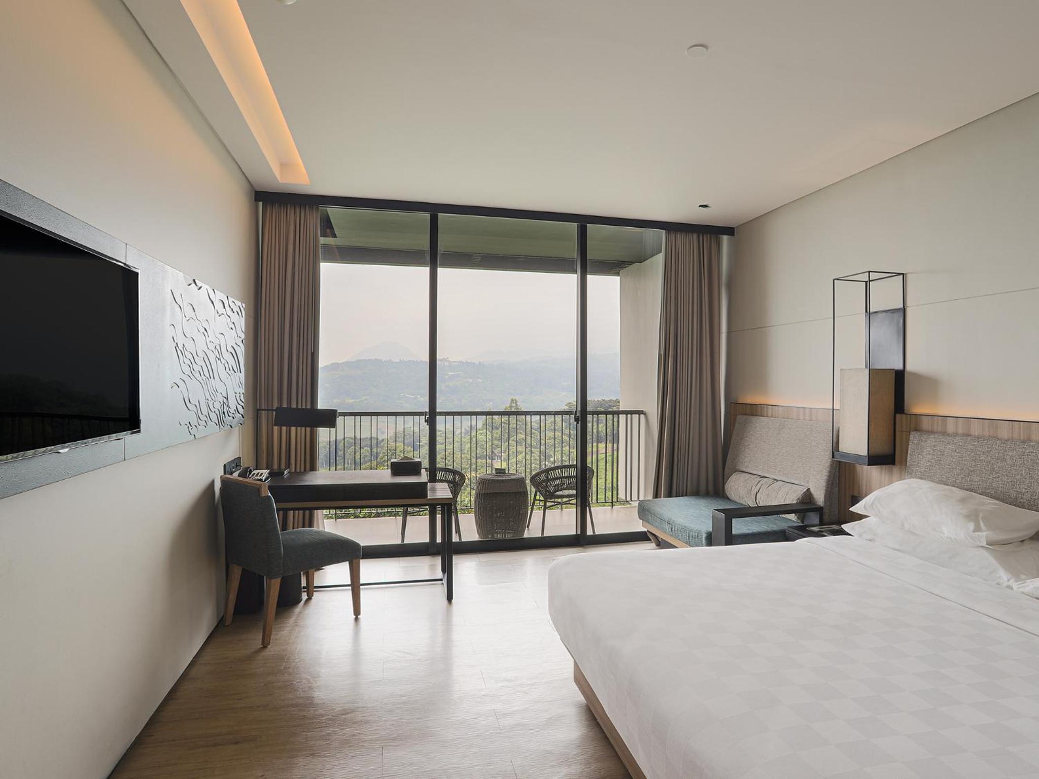 Executive Deluxe King Room with Mountain View photo 3