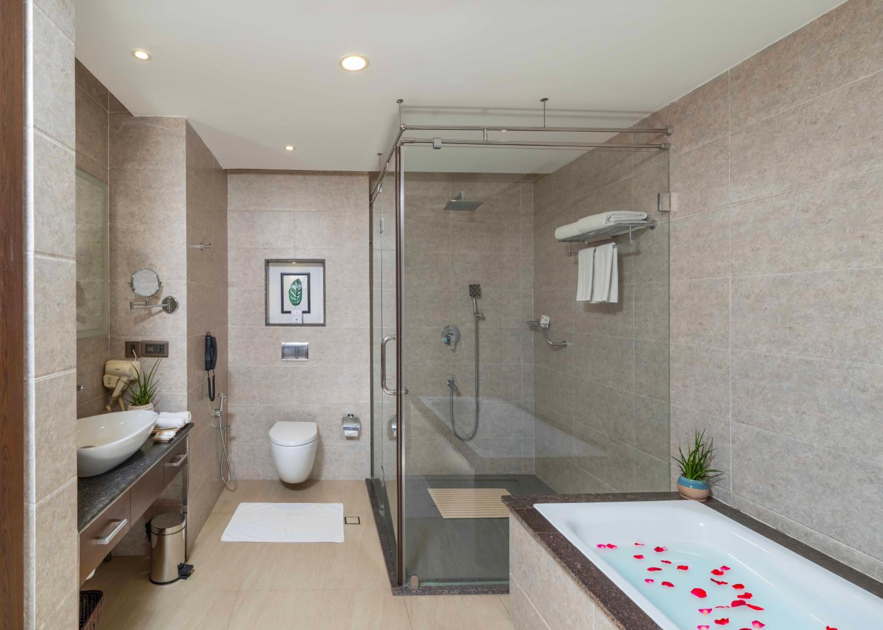 Premium Suite - Photo 5