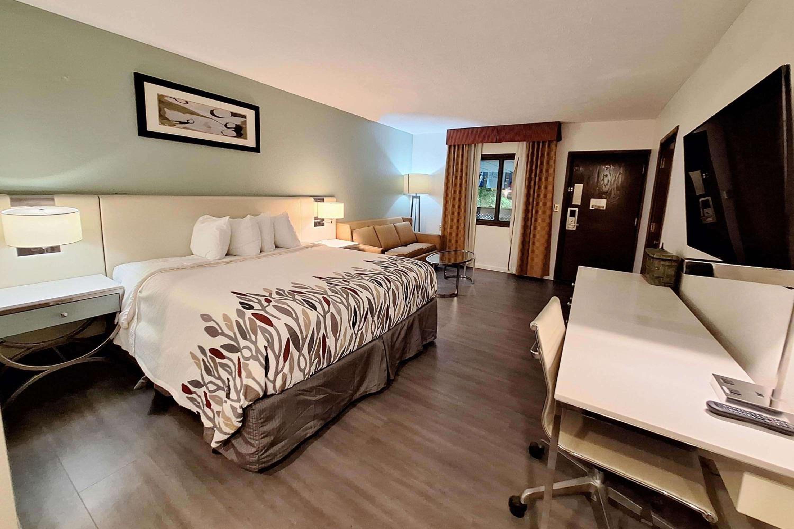 King Room - Non-Smoking - Photo 1
