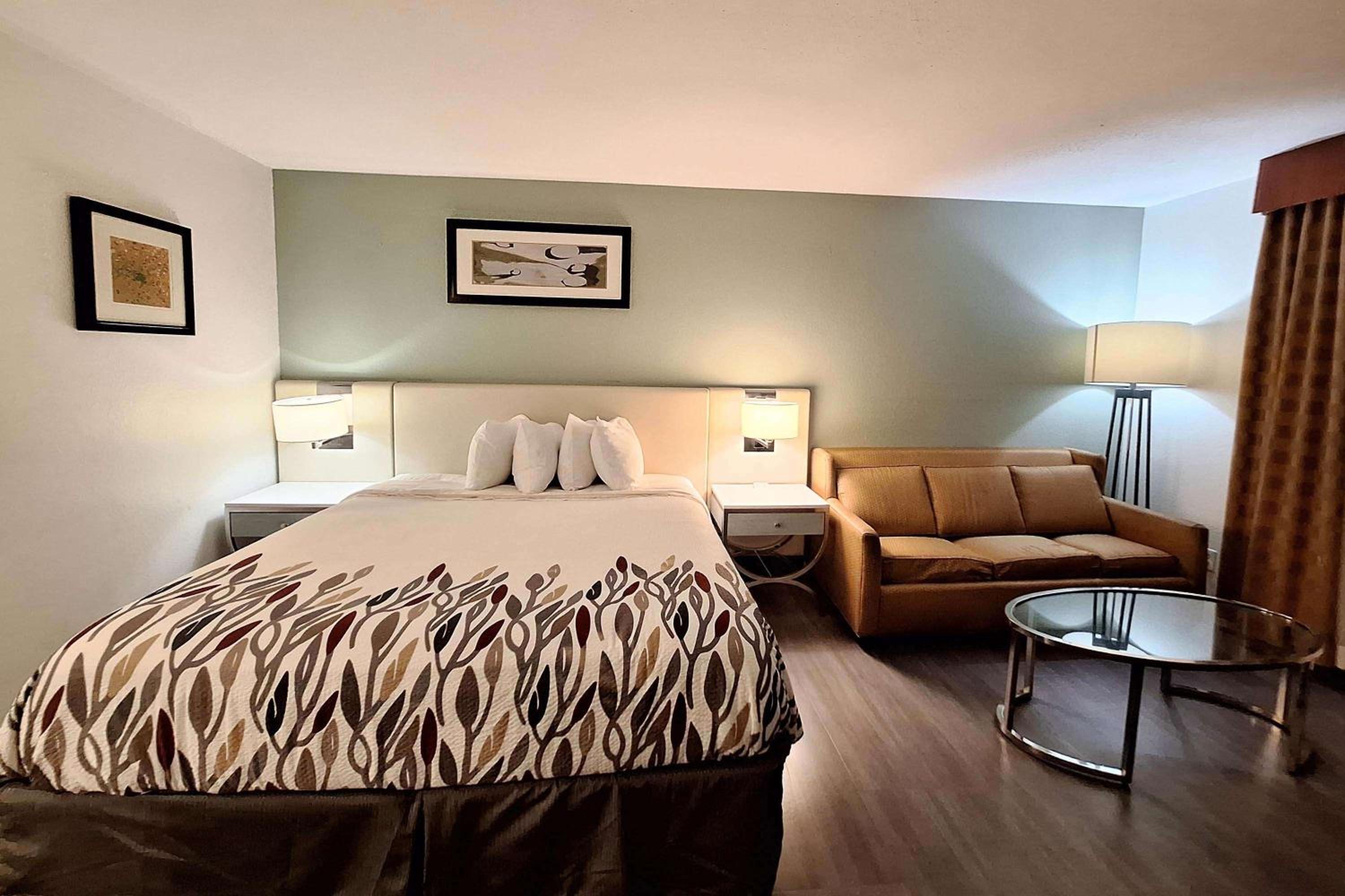 King Room with Lake View - Non-Smoking - Photo 1