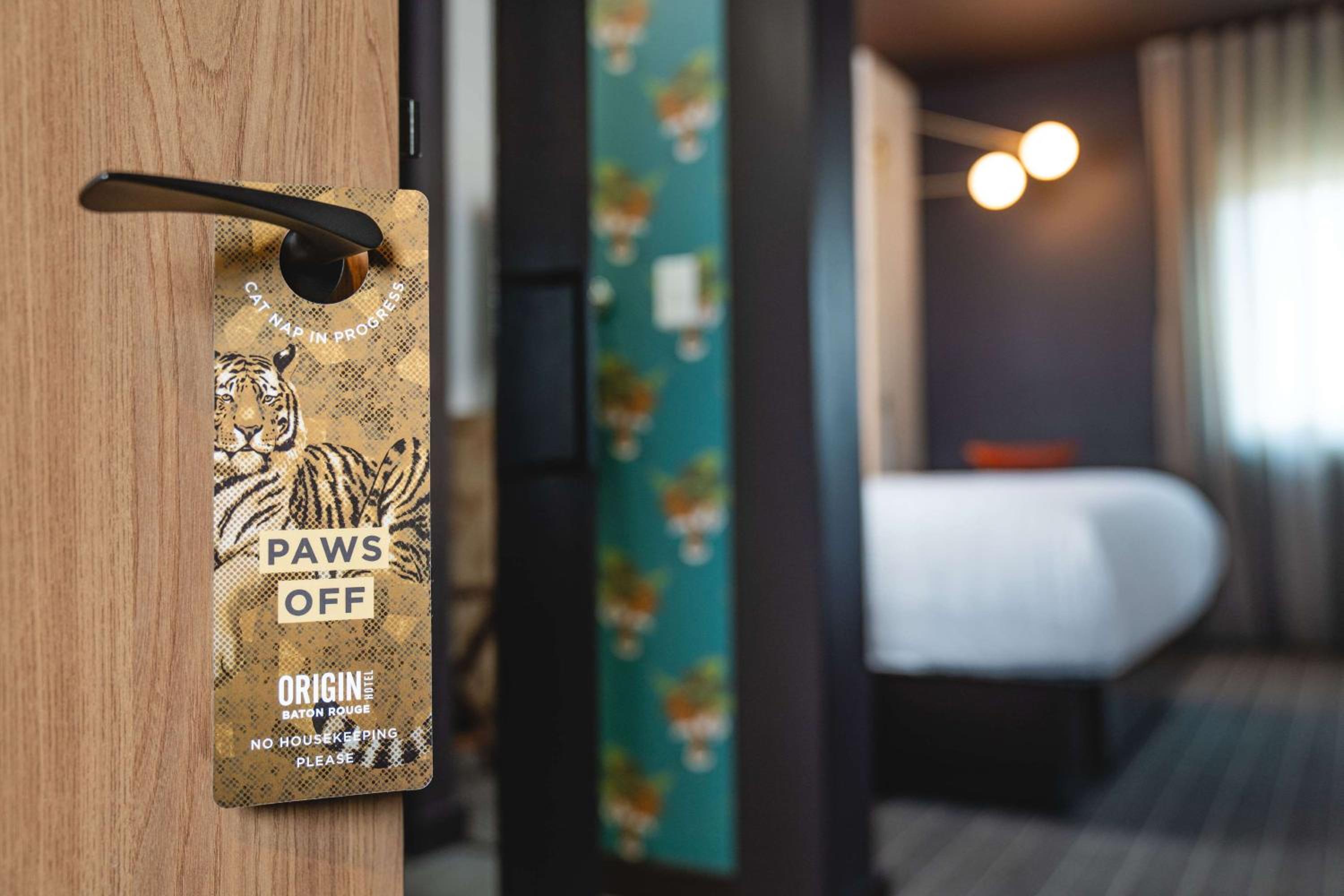Deluxe King Room - Photo 2