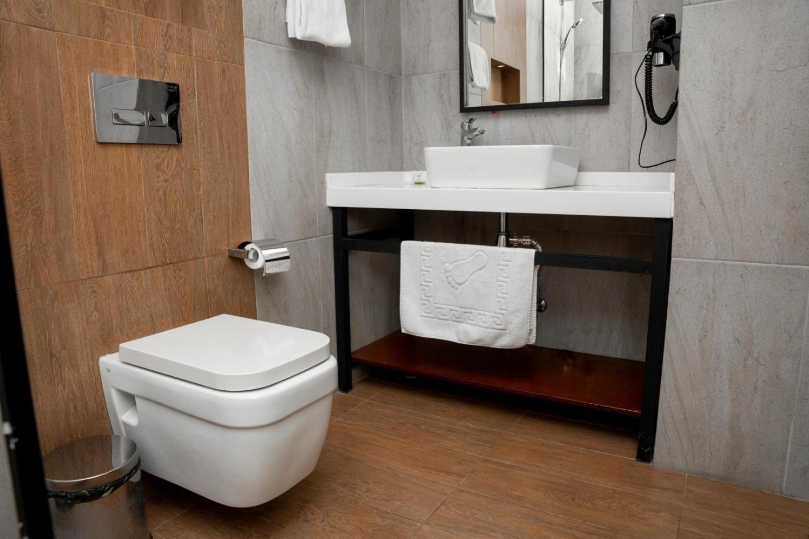 Deluxe Double or Twin Room - Photo 4