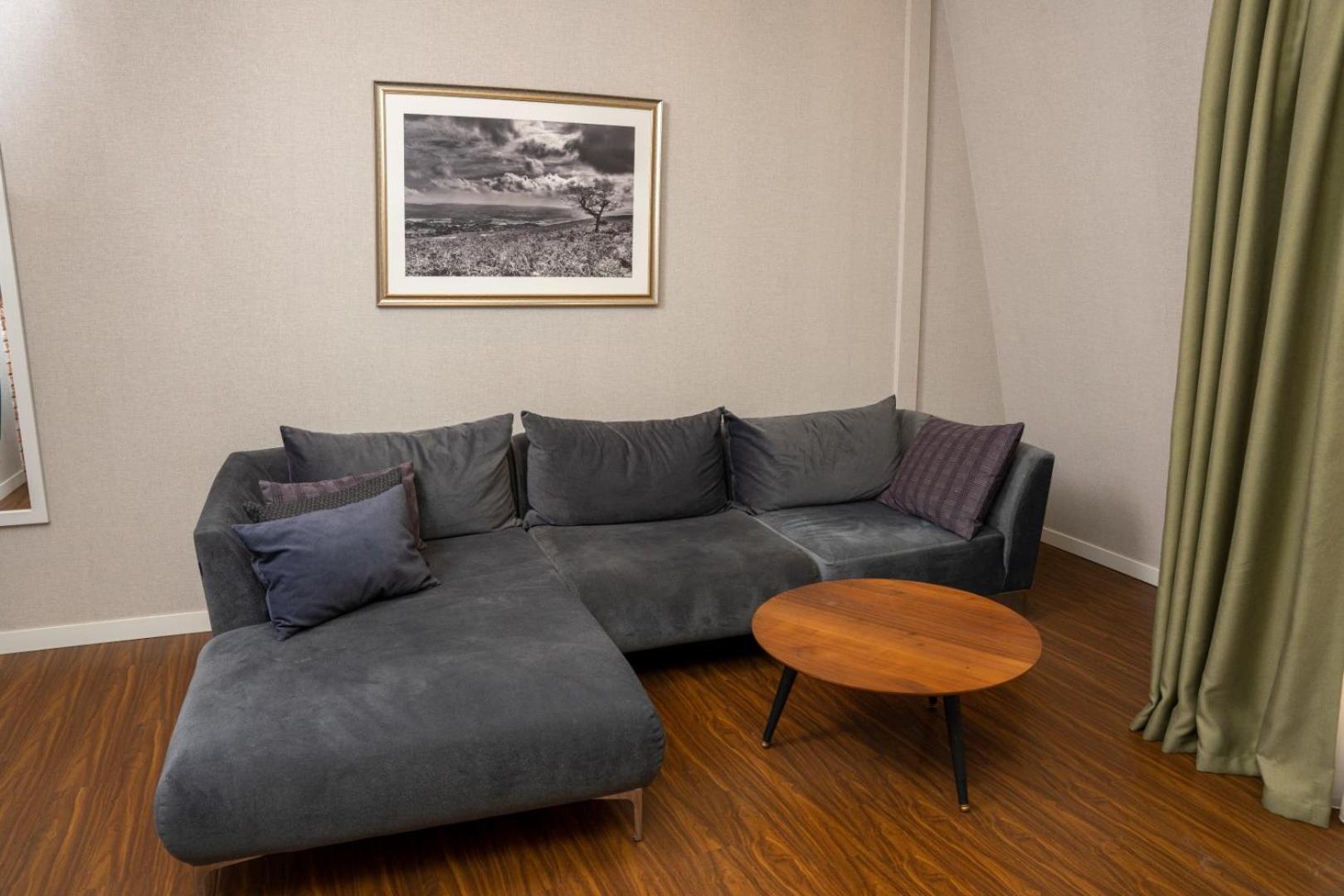 One-Bedroom Apartment - Photo 12