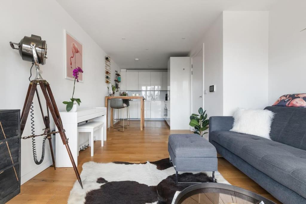 One-Bedroom Apartment photo 2