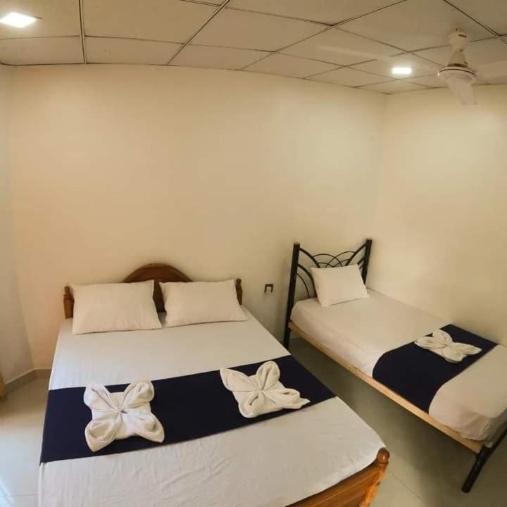 Standard Triple Room - Photo 2