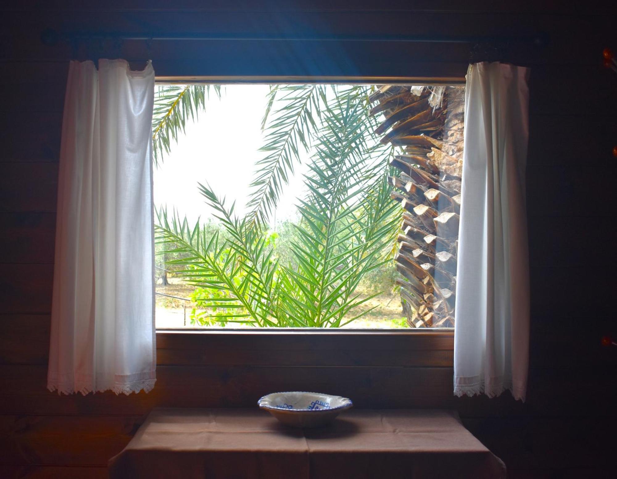 Double Room With Garden View photo 3