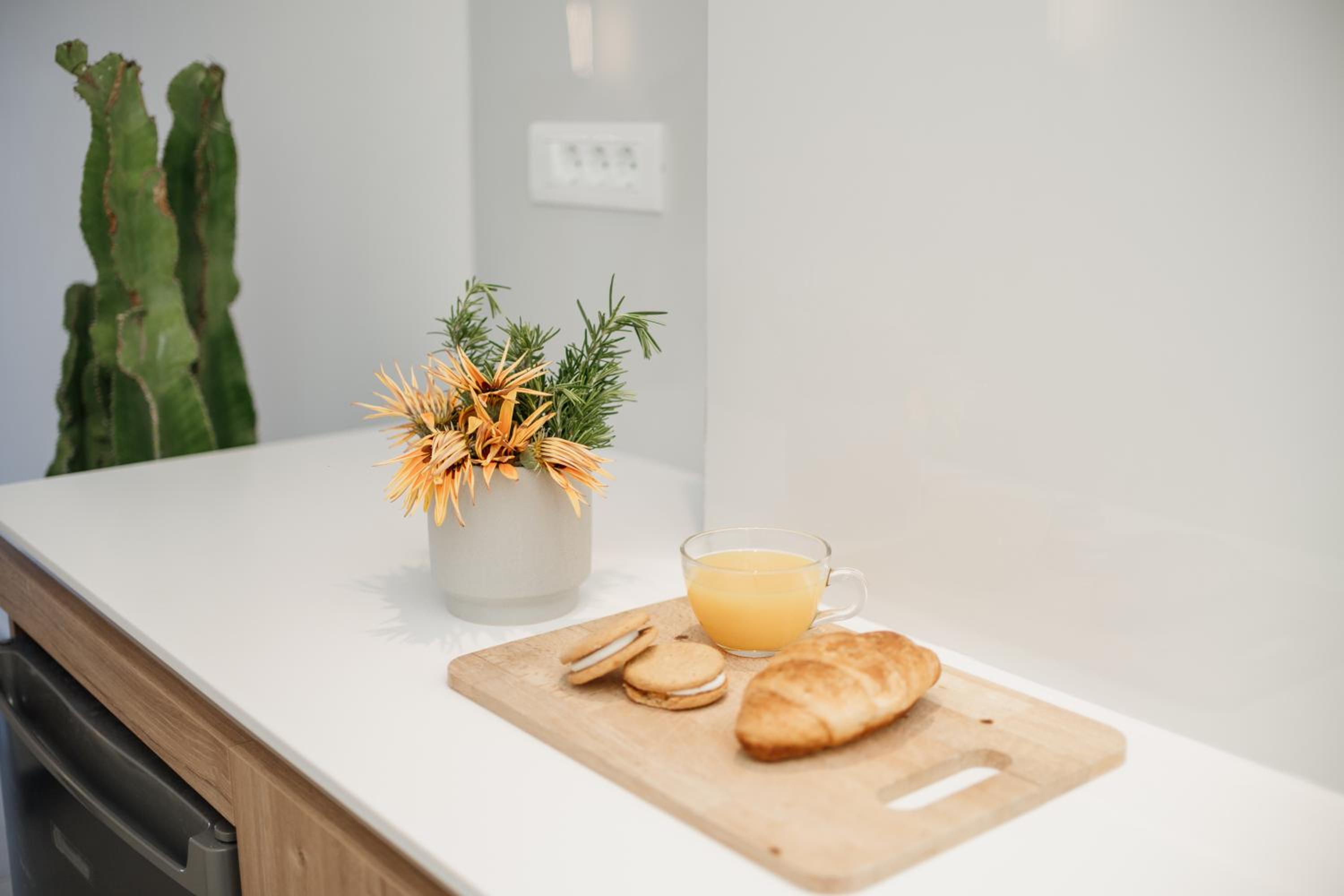 Studio with Garden View
