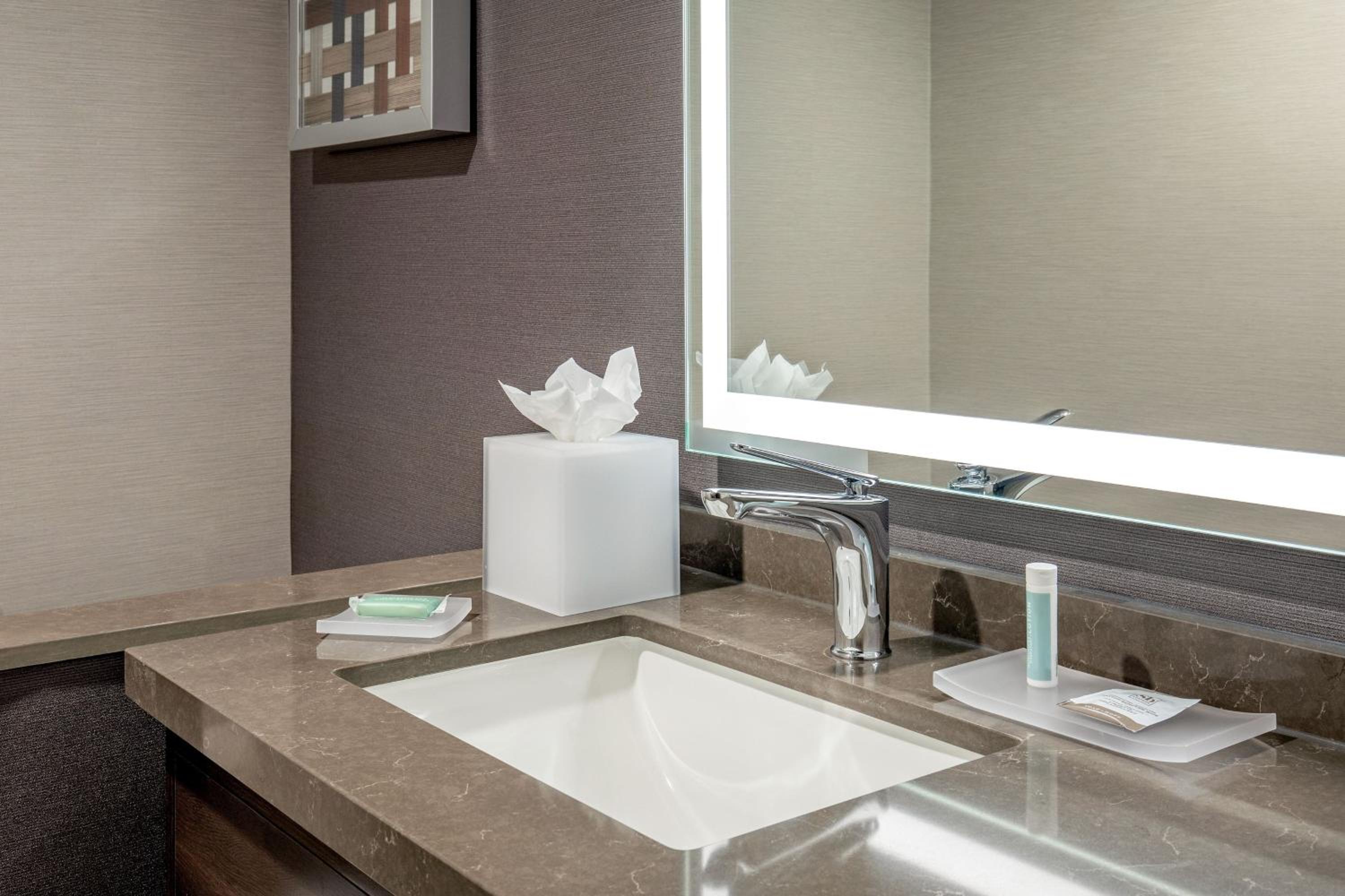 One-Bedroom King Suite - Photo 5