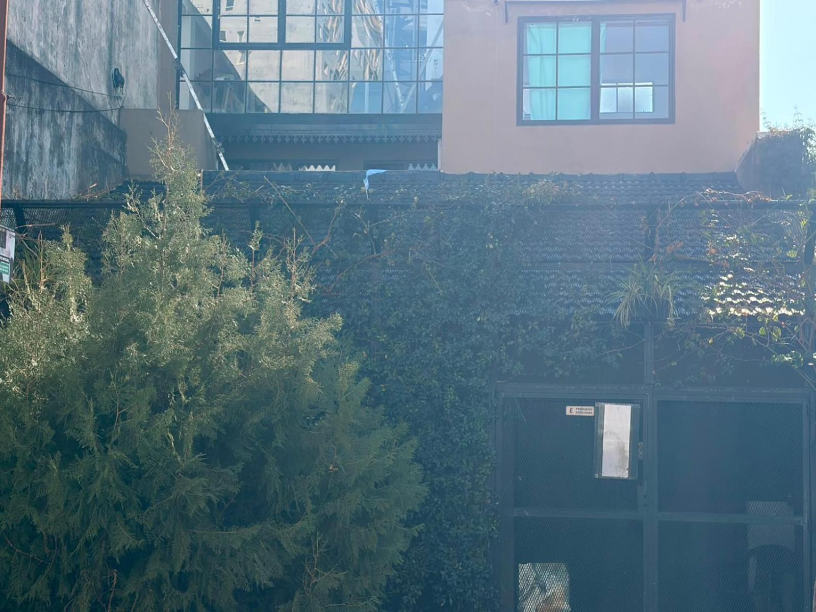 Deluxe Two-Bedroom Apartment with Garden View